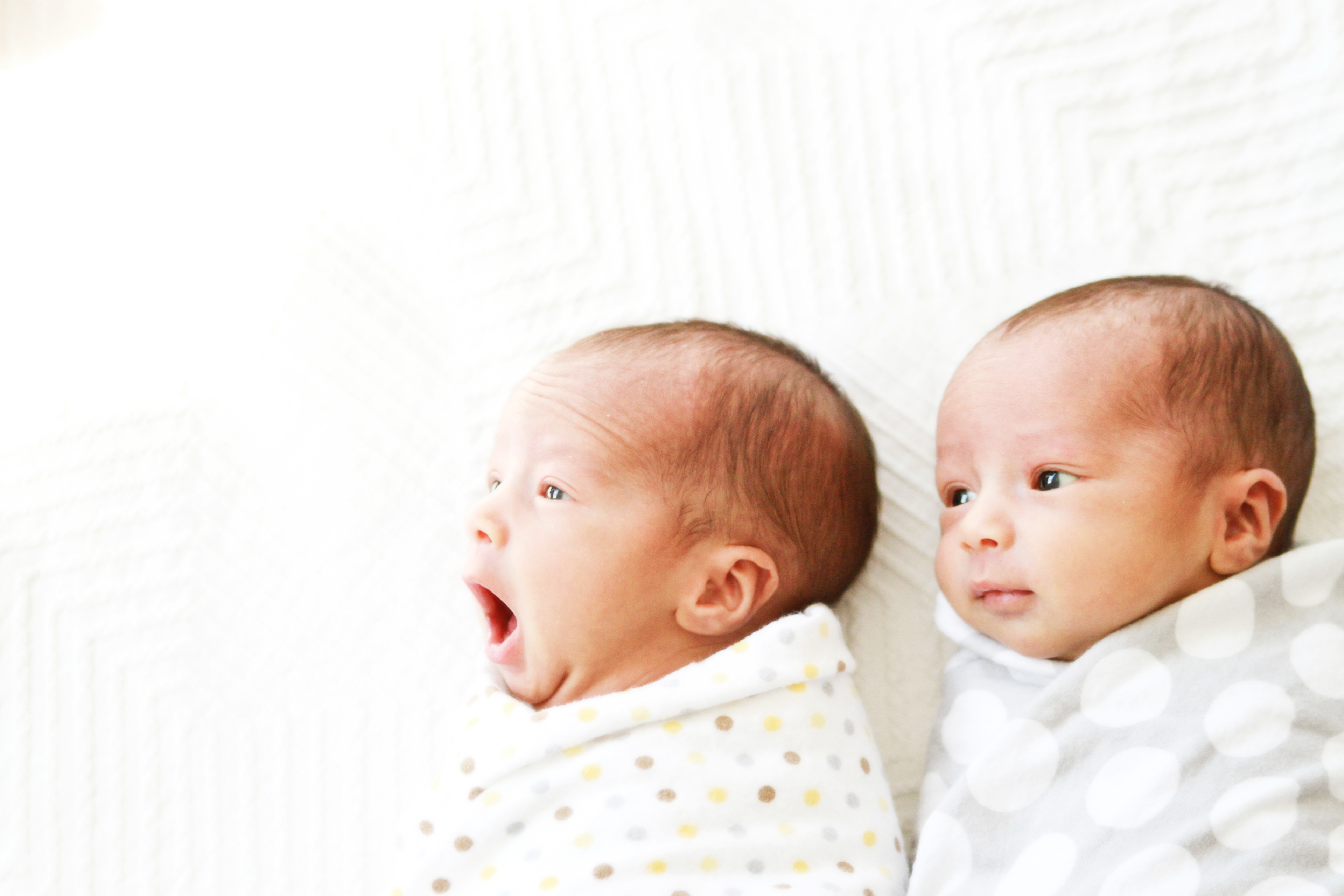 jennifer roper - Newborns