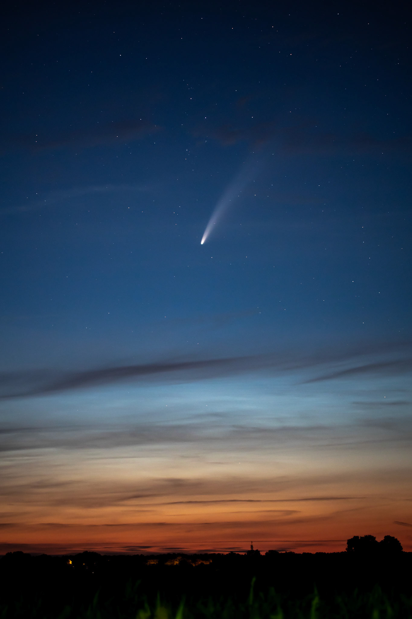 Neowise