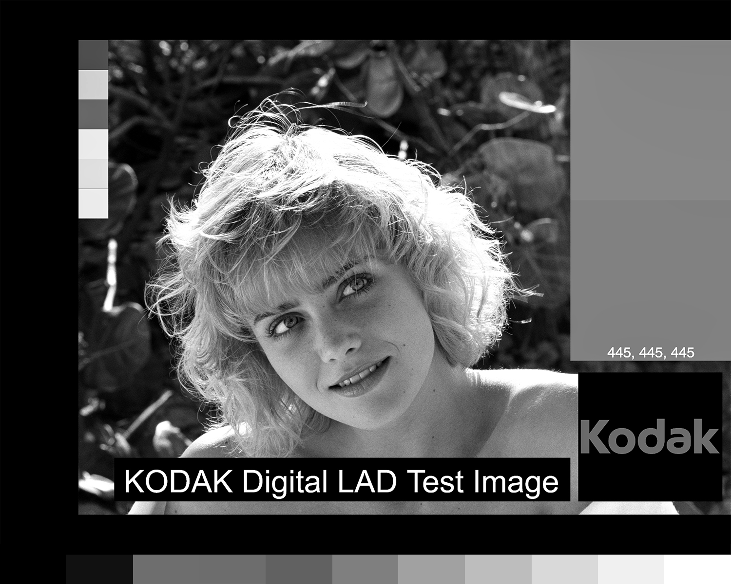 Adobe B&W High Contrast (B&W 03)