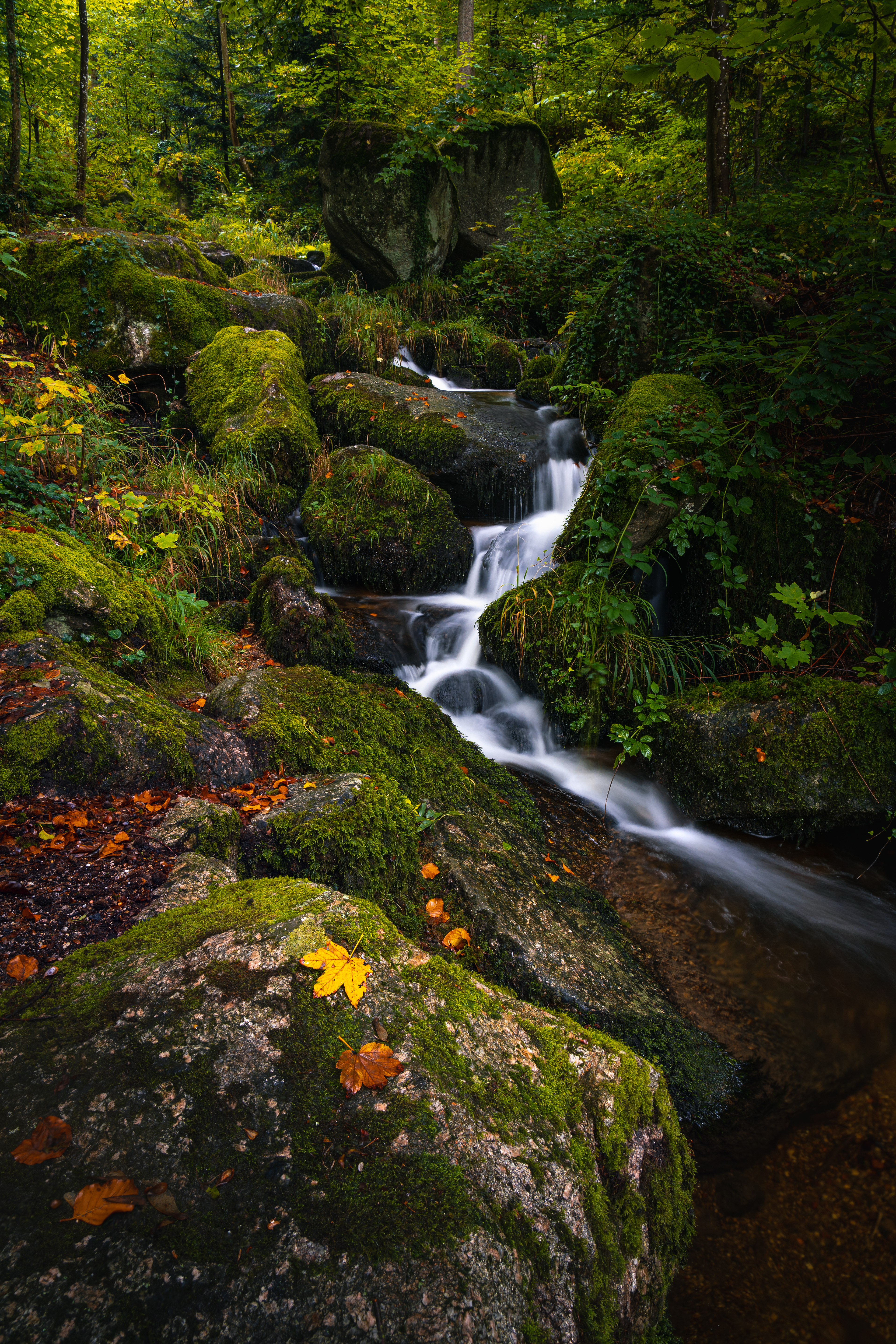 24 mm, ISO 100, f/11, 2 Sek.