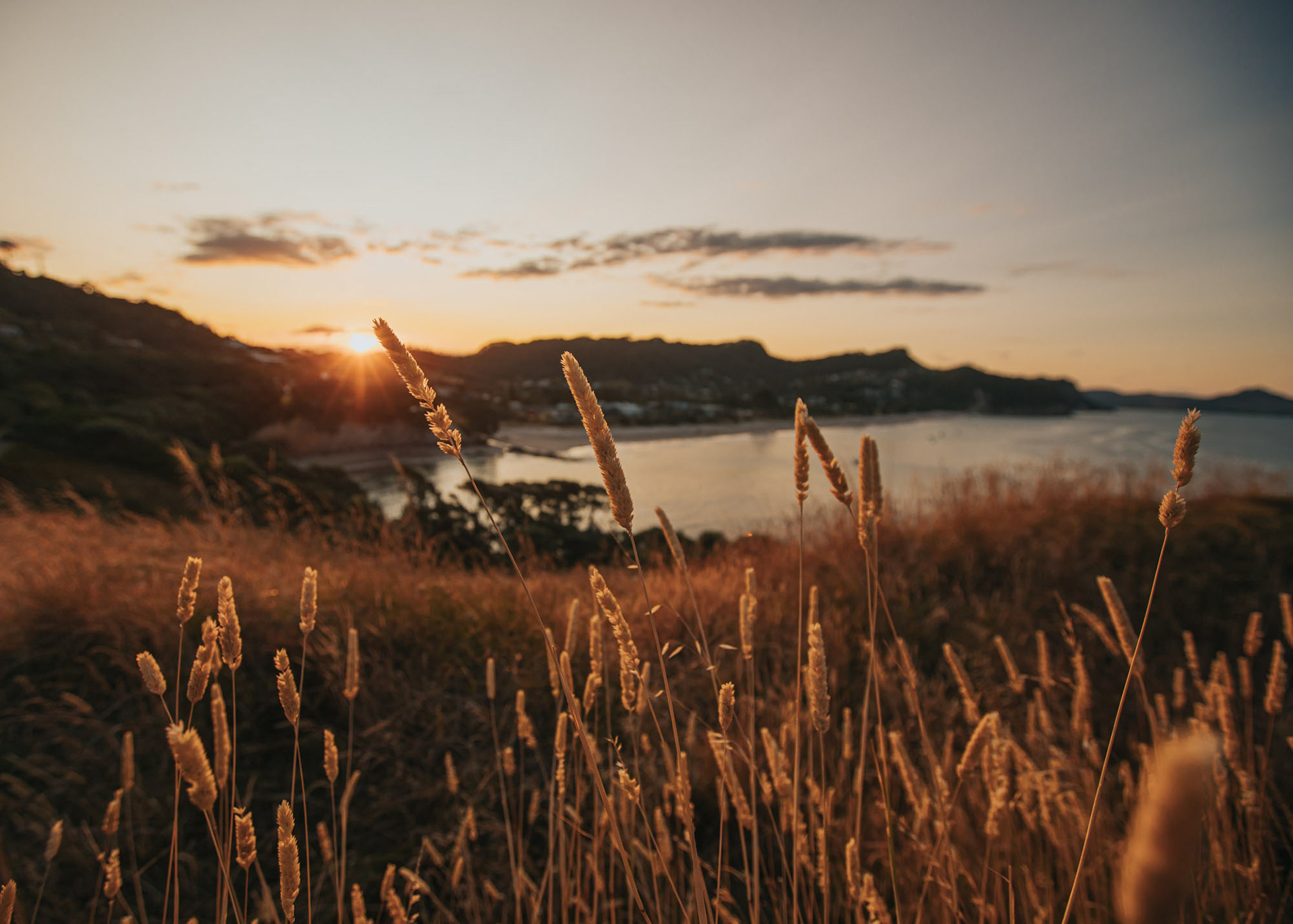 Sunset view across Hahei beach from hill