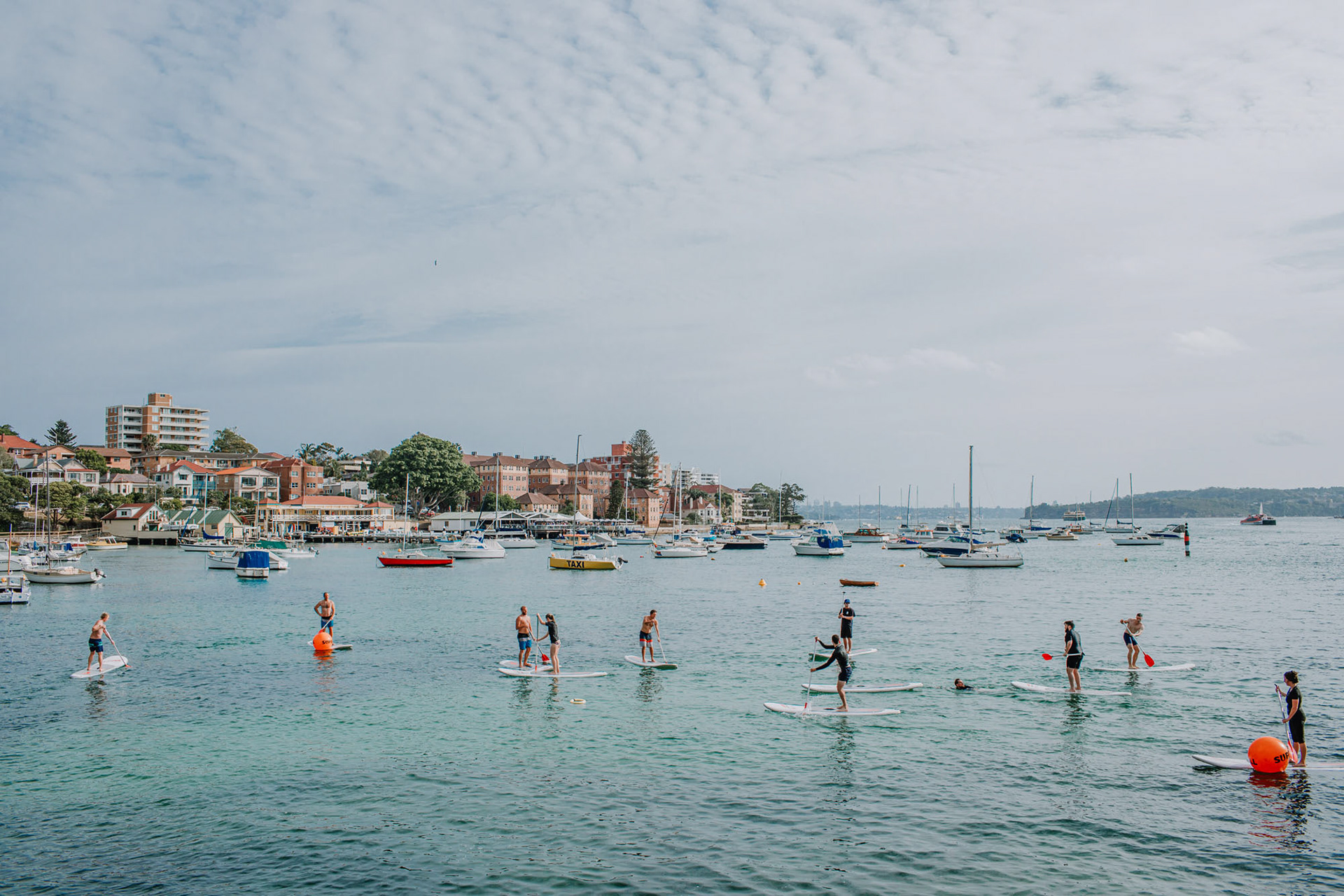 Paddleboard games in Manly harbour