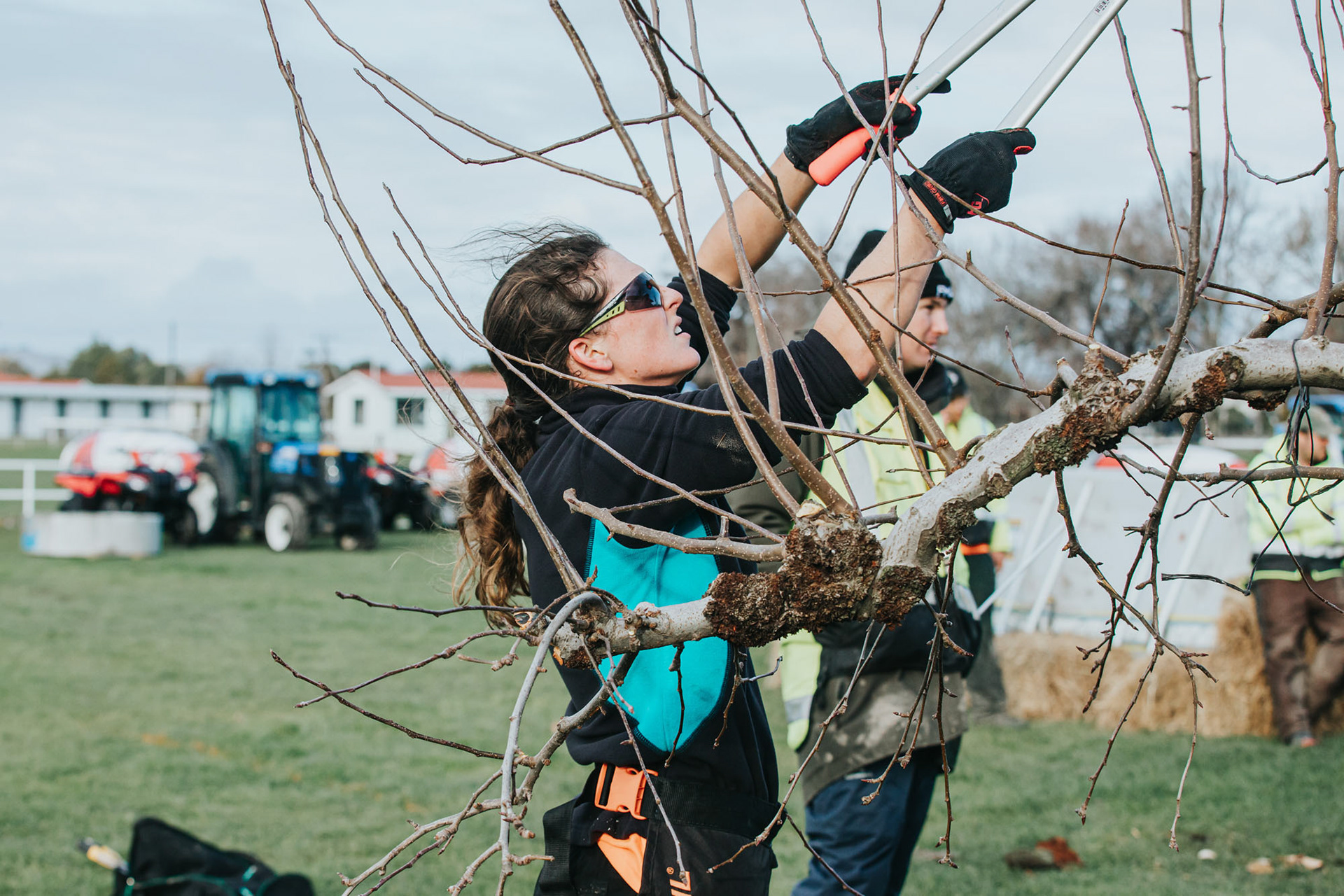 Pruning during the final time-trial competition on the Practical Day