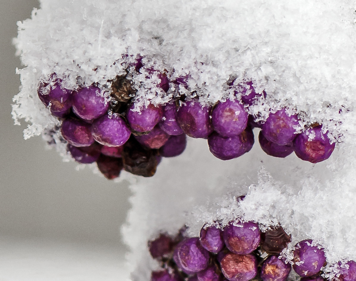 Photography by Elaine Johnston Schuch