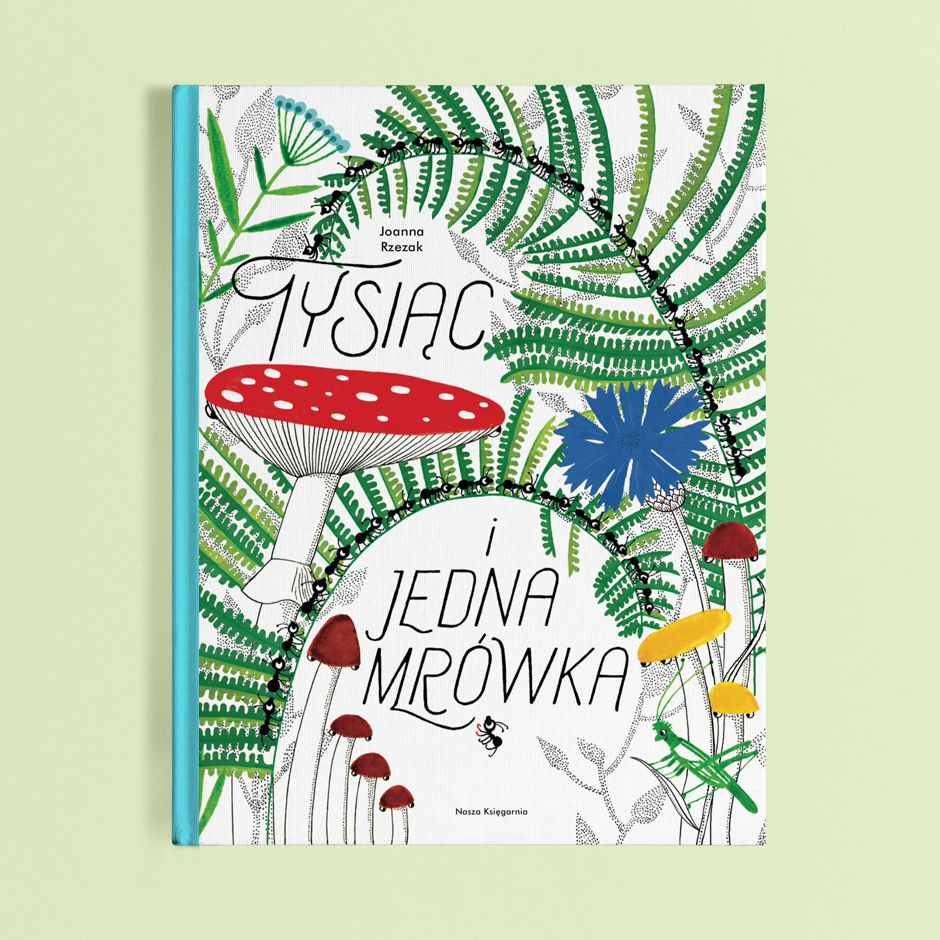 Polish edition by Nasza Księgarnia