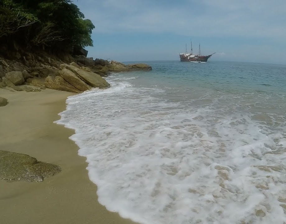 Carlos Gomez - Artist Al Fresco: Puerto Vallarta