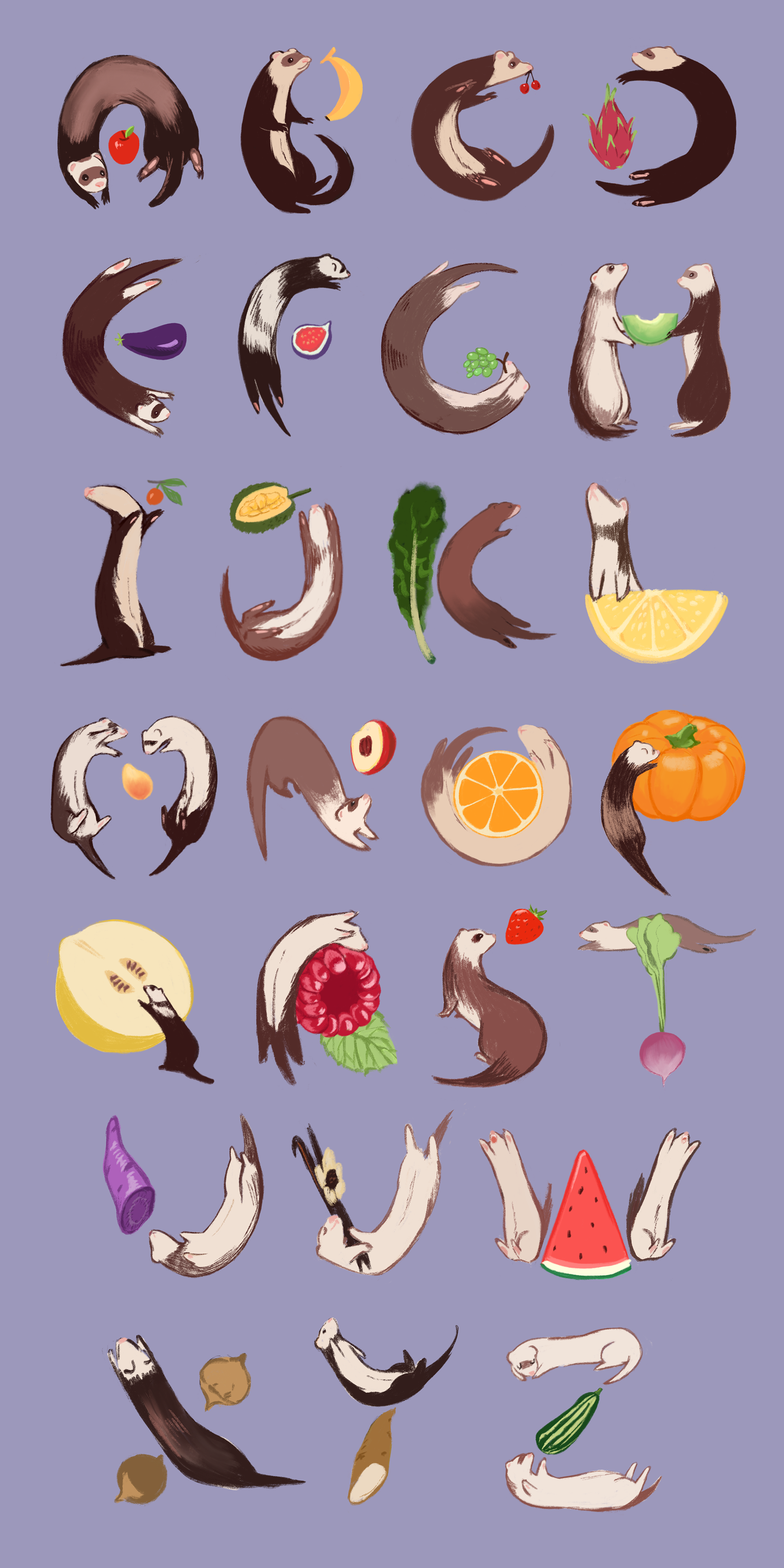 Ferret Alphabet
