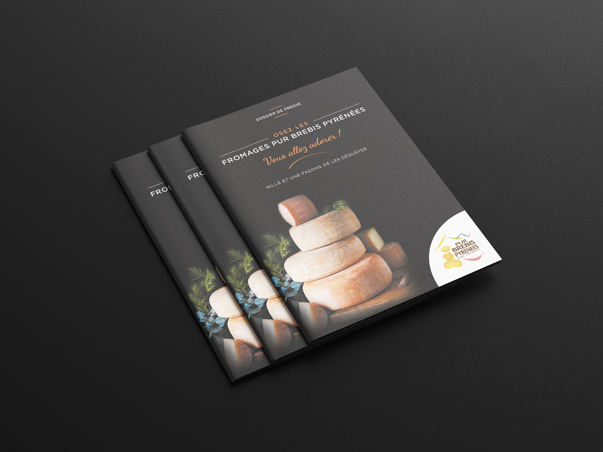 couverture de dossier de presse, dossier de presse, communiqué de presse, 12 pages, mise en page, graphisme, designgraphic