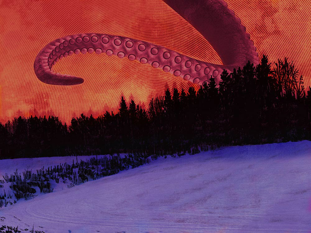 Glorious sunset / 2019