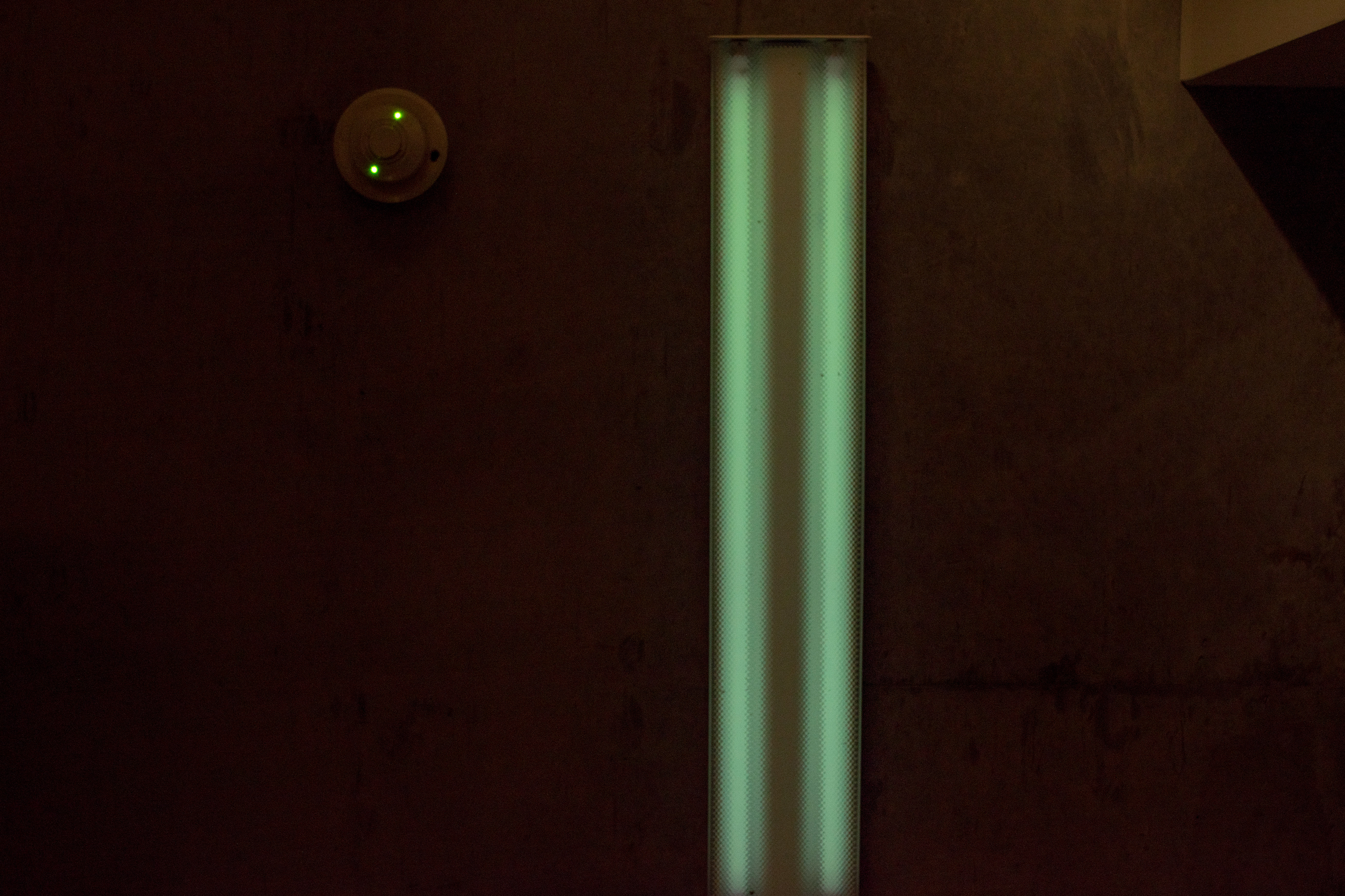 Fluorescent Dreams