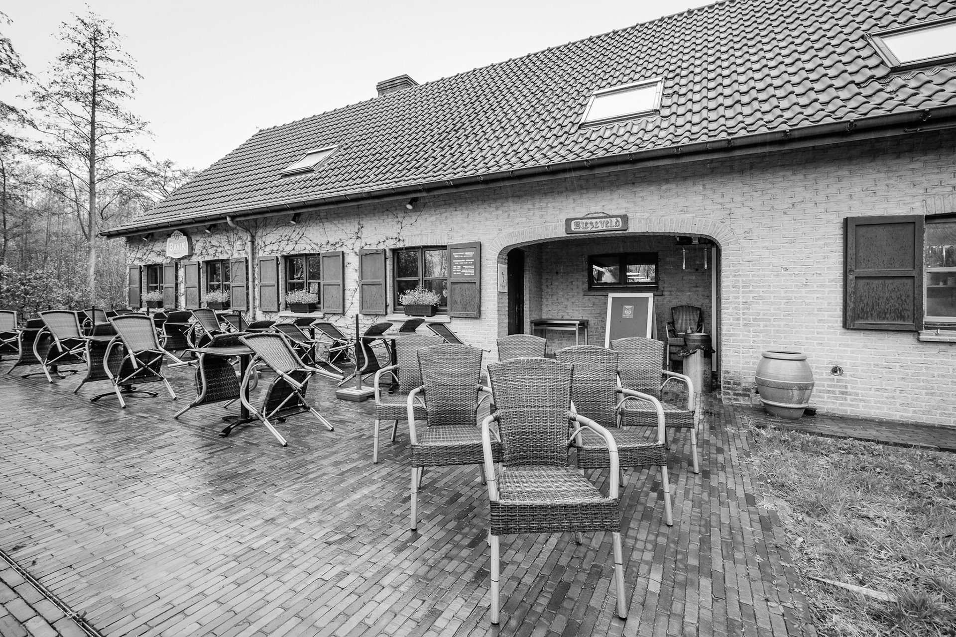 Biezeveld