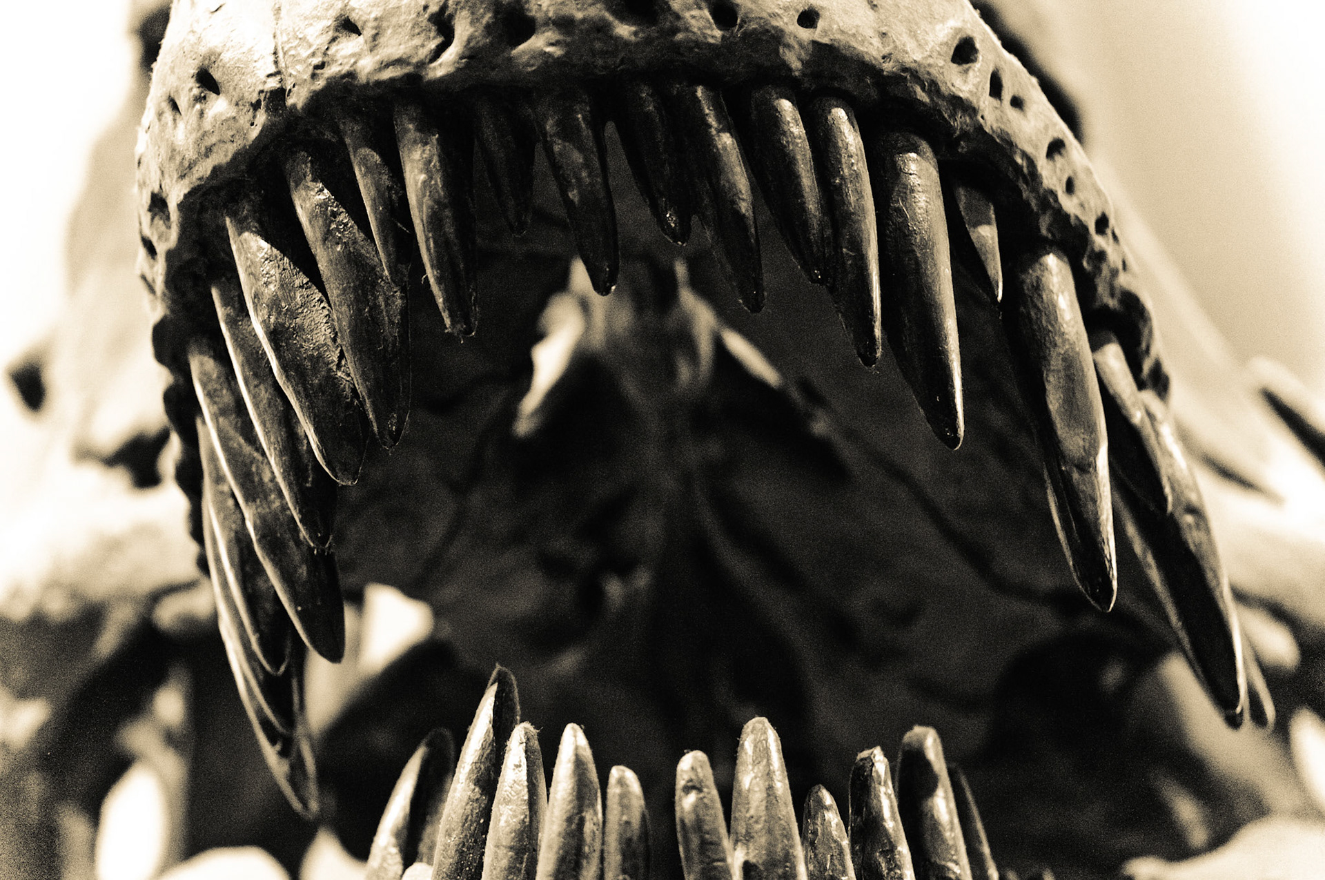 The Last Thing You'll See