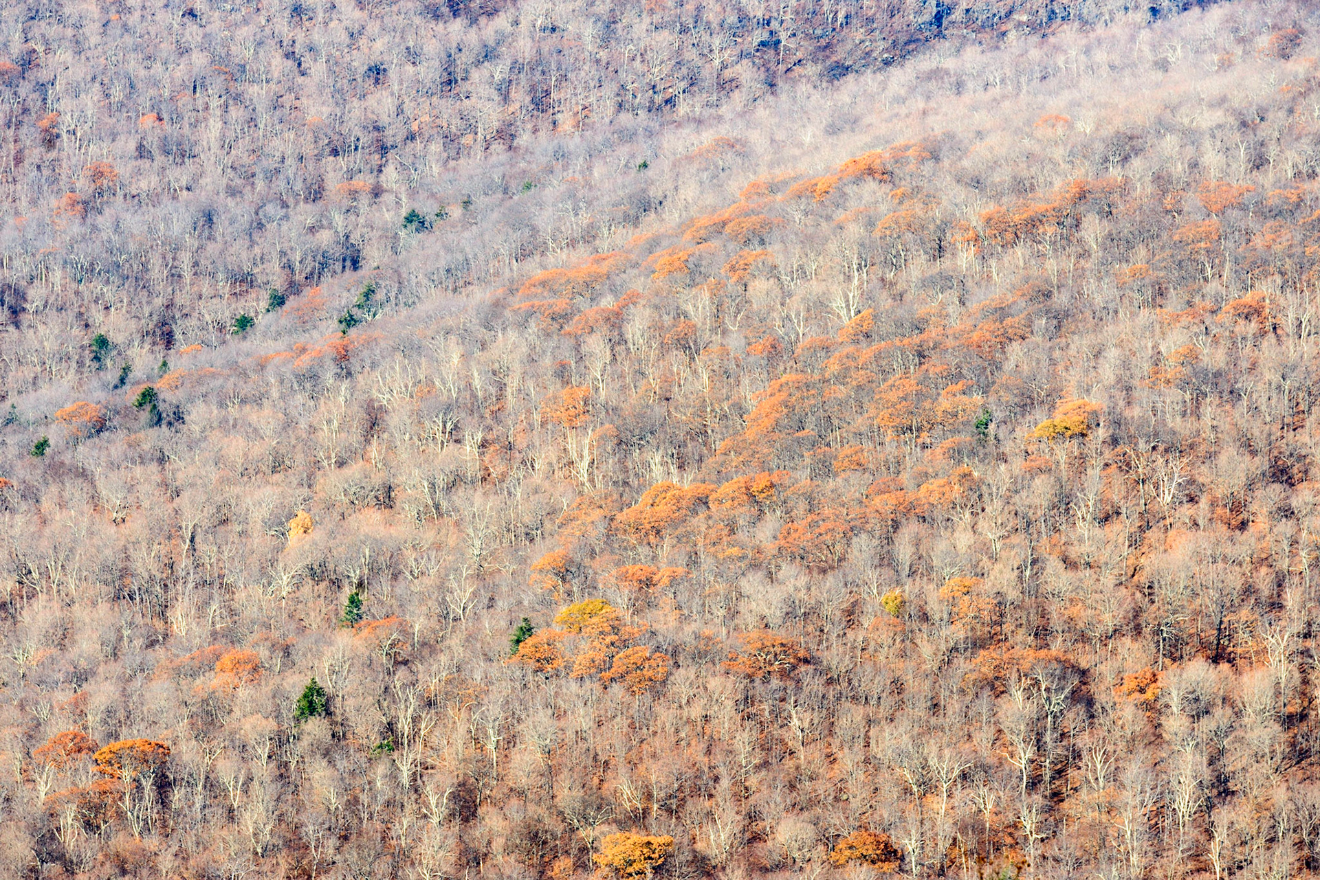 A bit of this and a bit of that