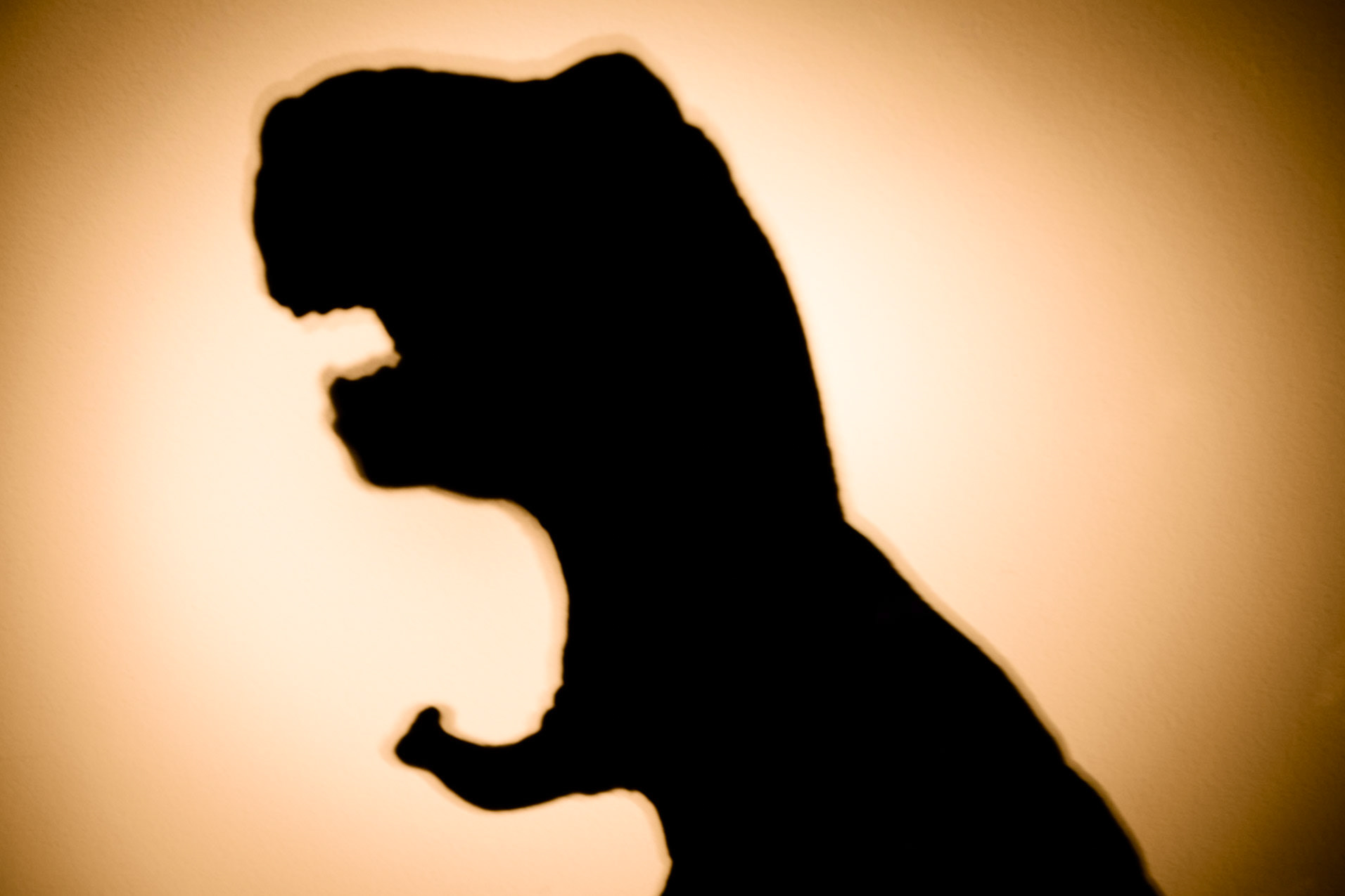 Don't Look Behind You