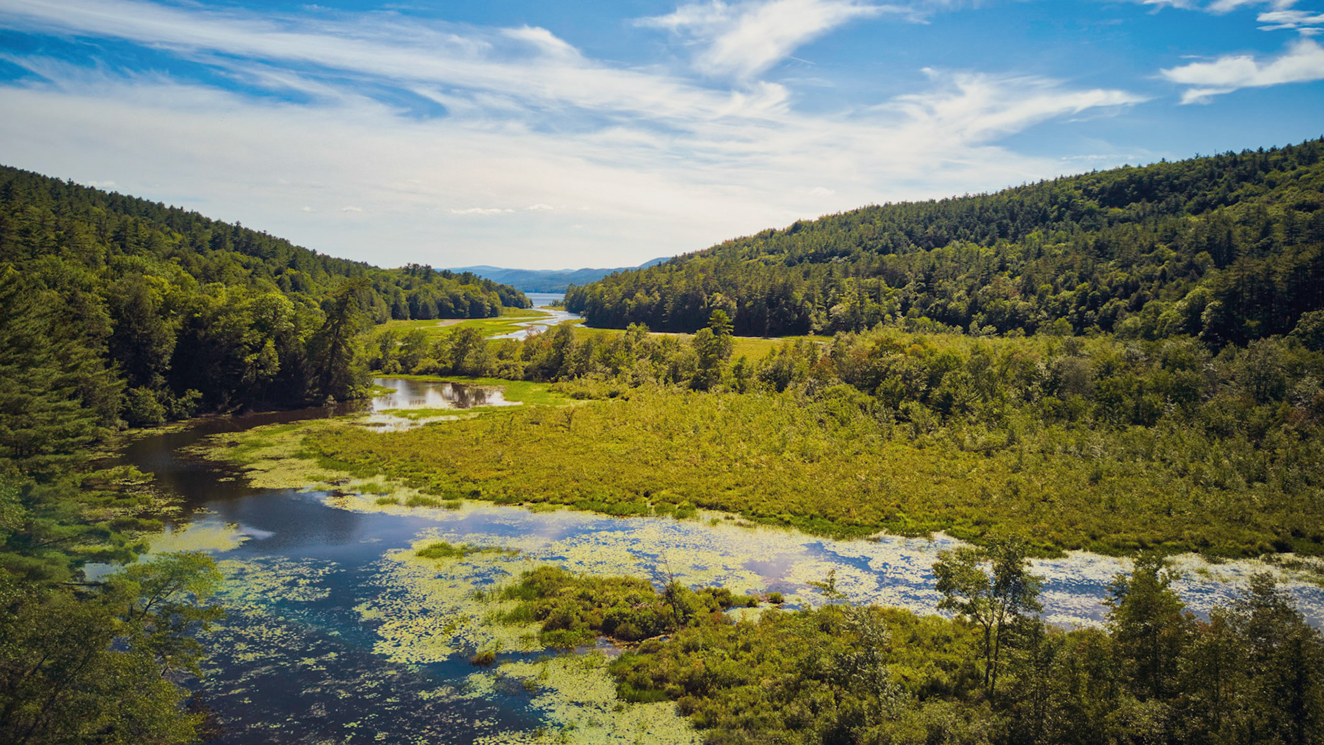 In Case You Missed It