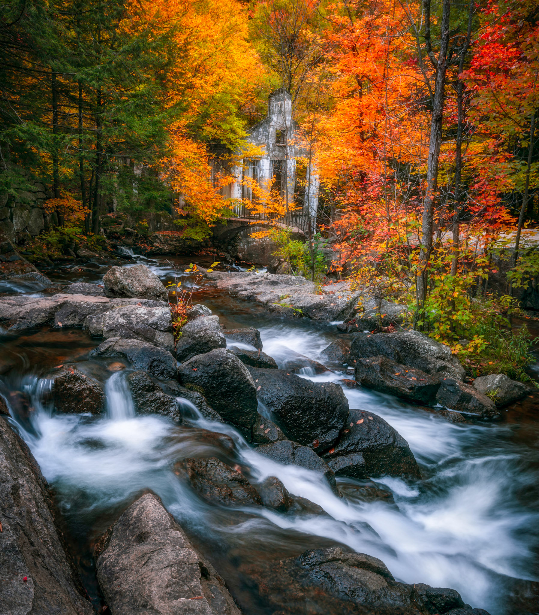 Just while I was leaving from a productive photoshoot, I saw this fram and I stopped still. I had my tripod already collapsed. I was thinking if I need to get it in position again. I was skeptical but this turned out to be one of my favorite shot from the day.