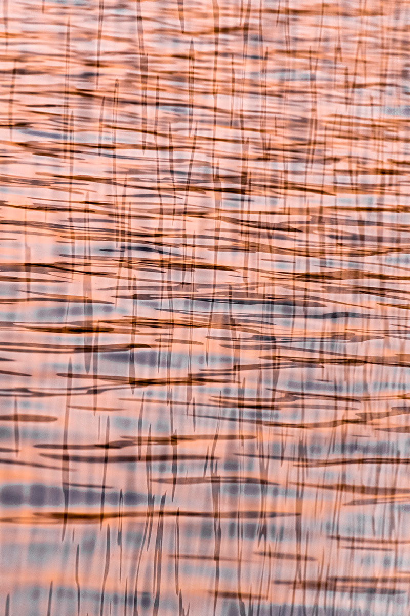 summer evening