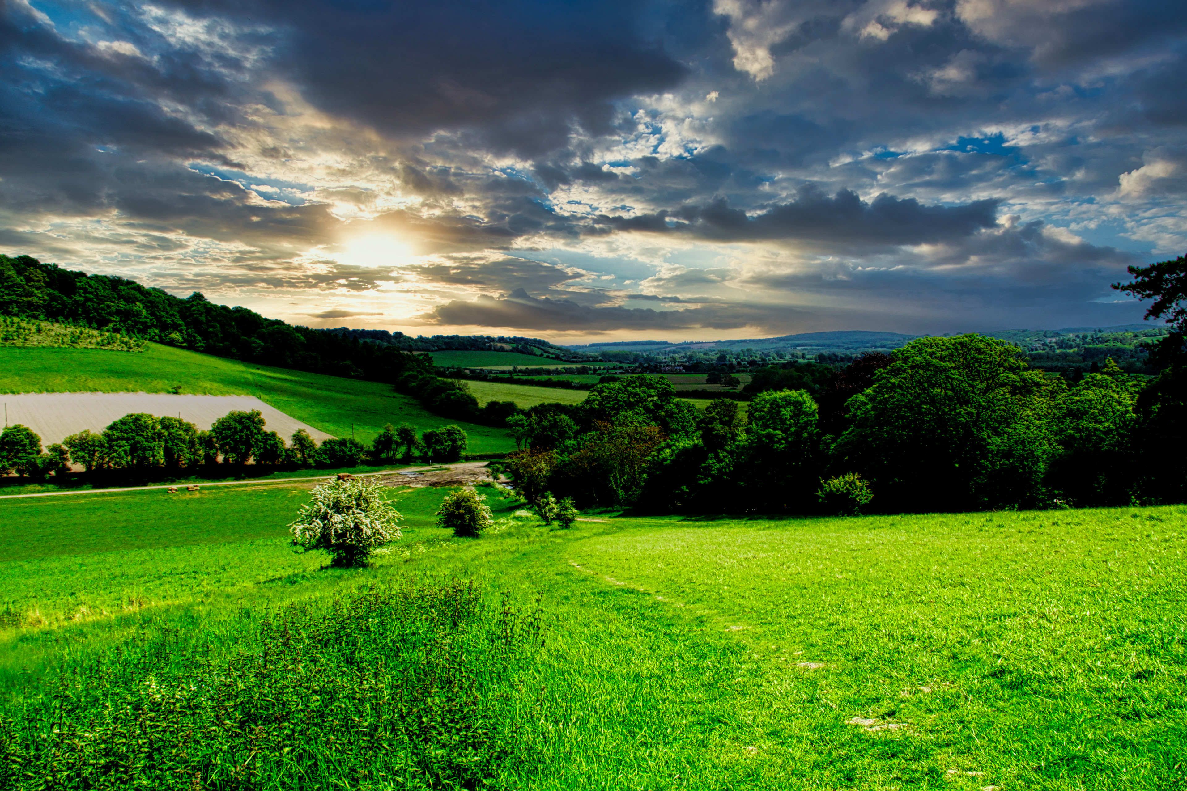 Fawley Hill