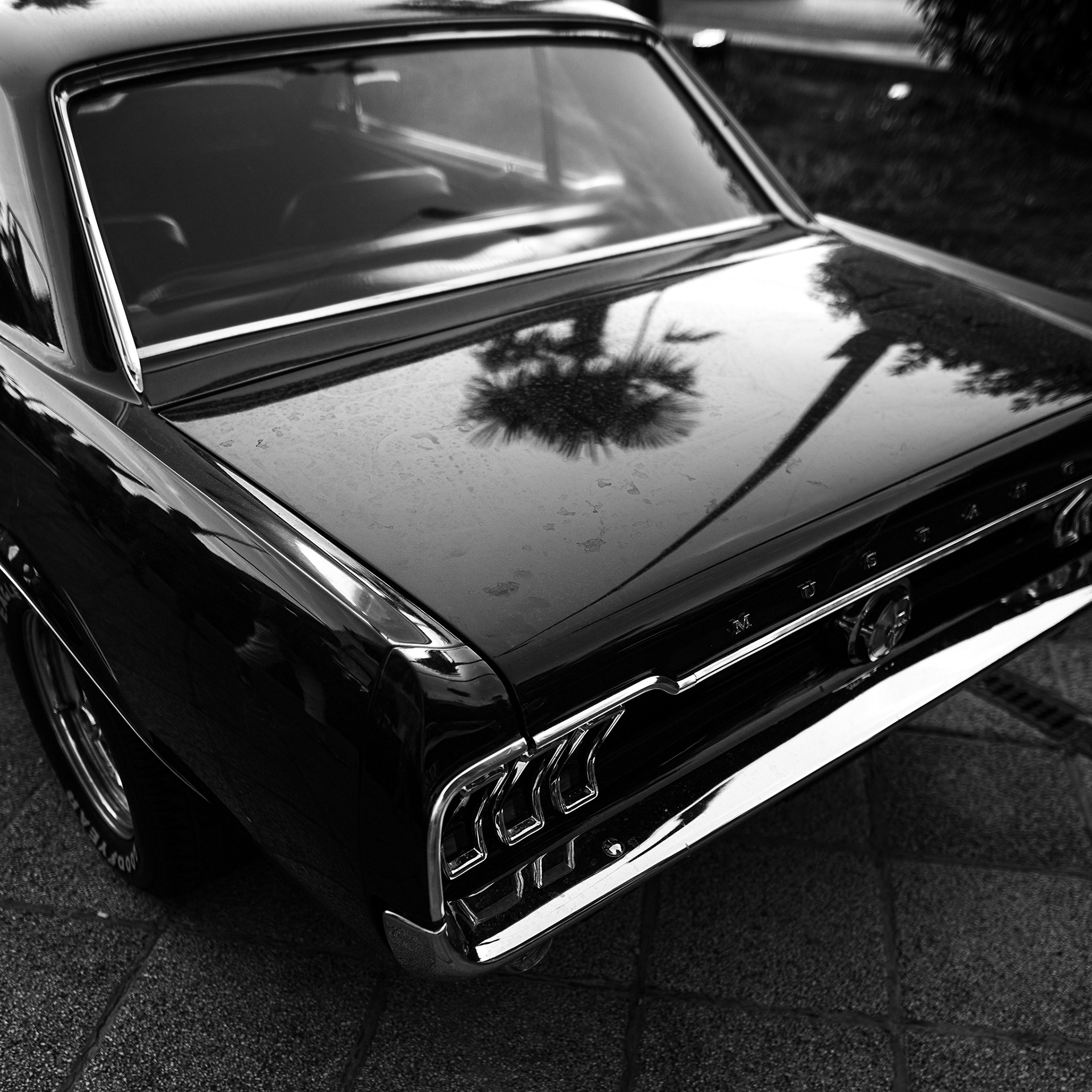 MUSTANG