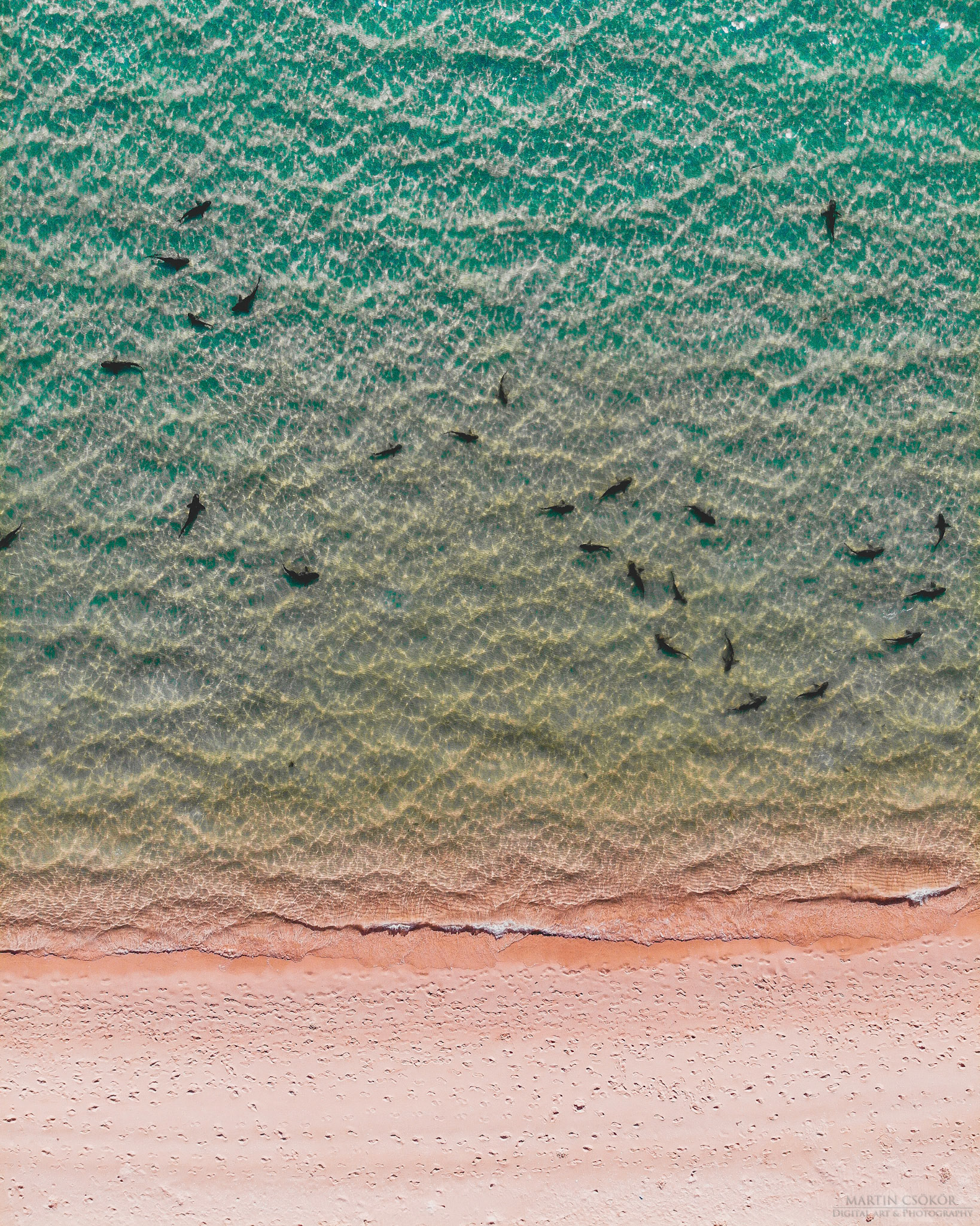 created by dji camera