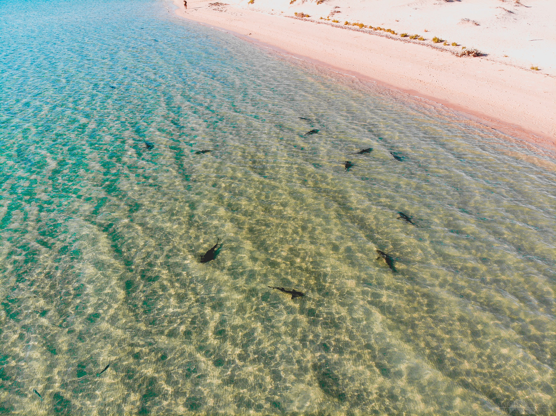 created by dji camera