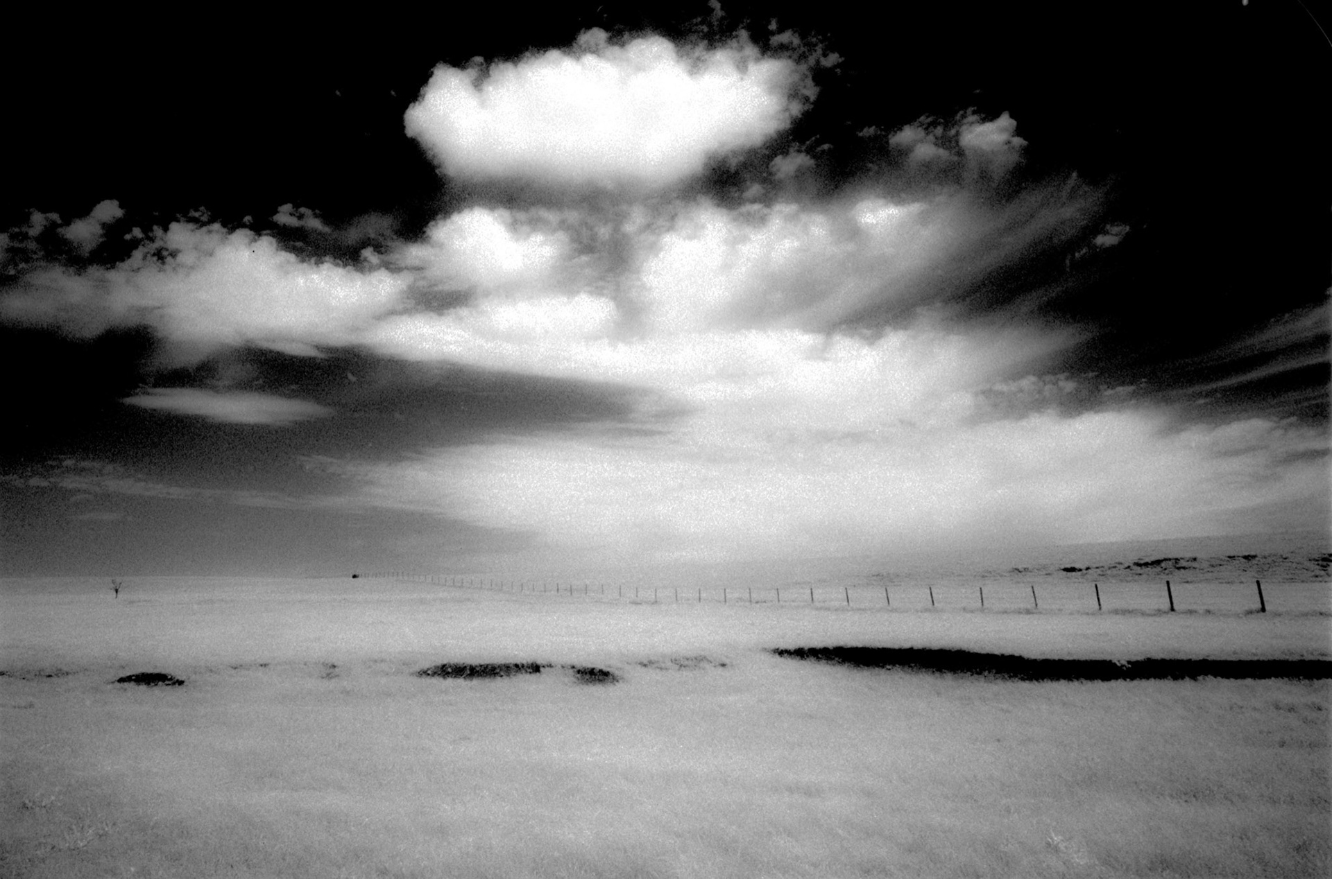Osage Horizon