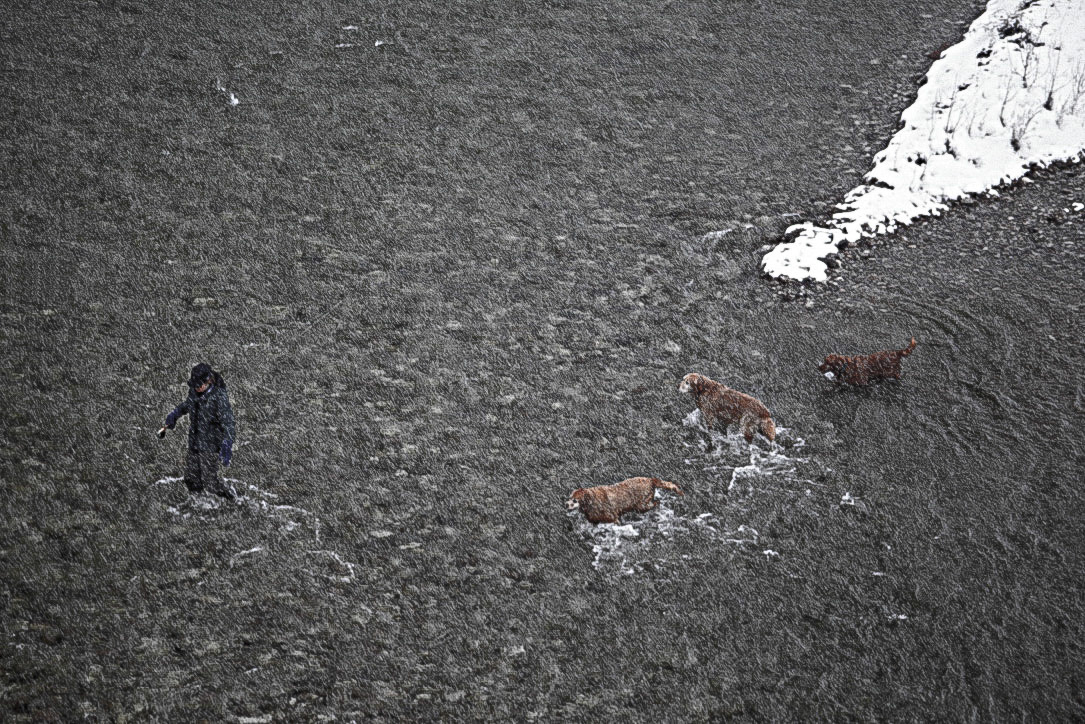 Angling Crew - Dearborn River