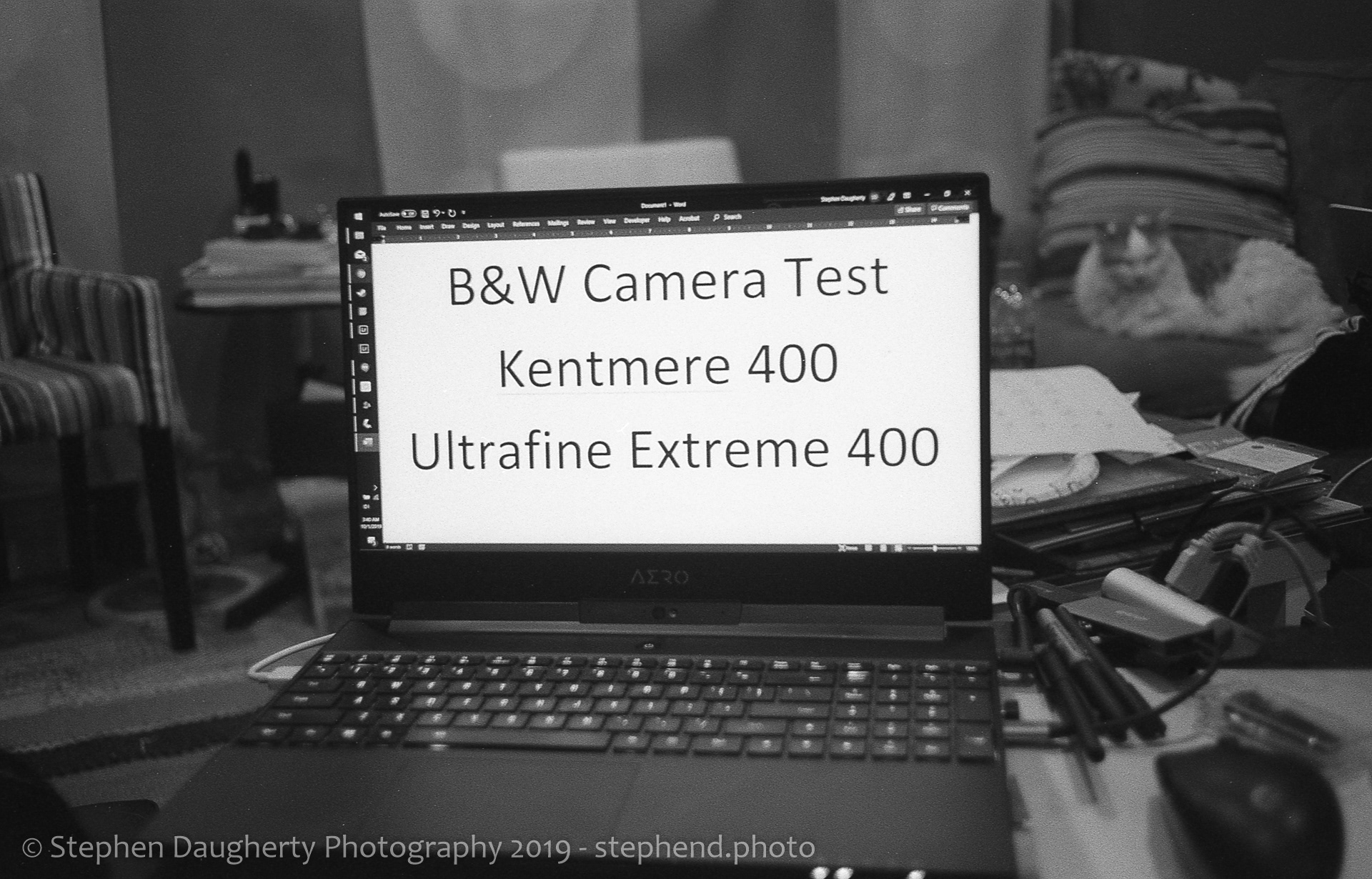 Kentmere 400