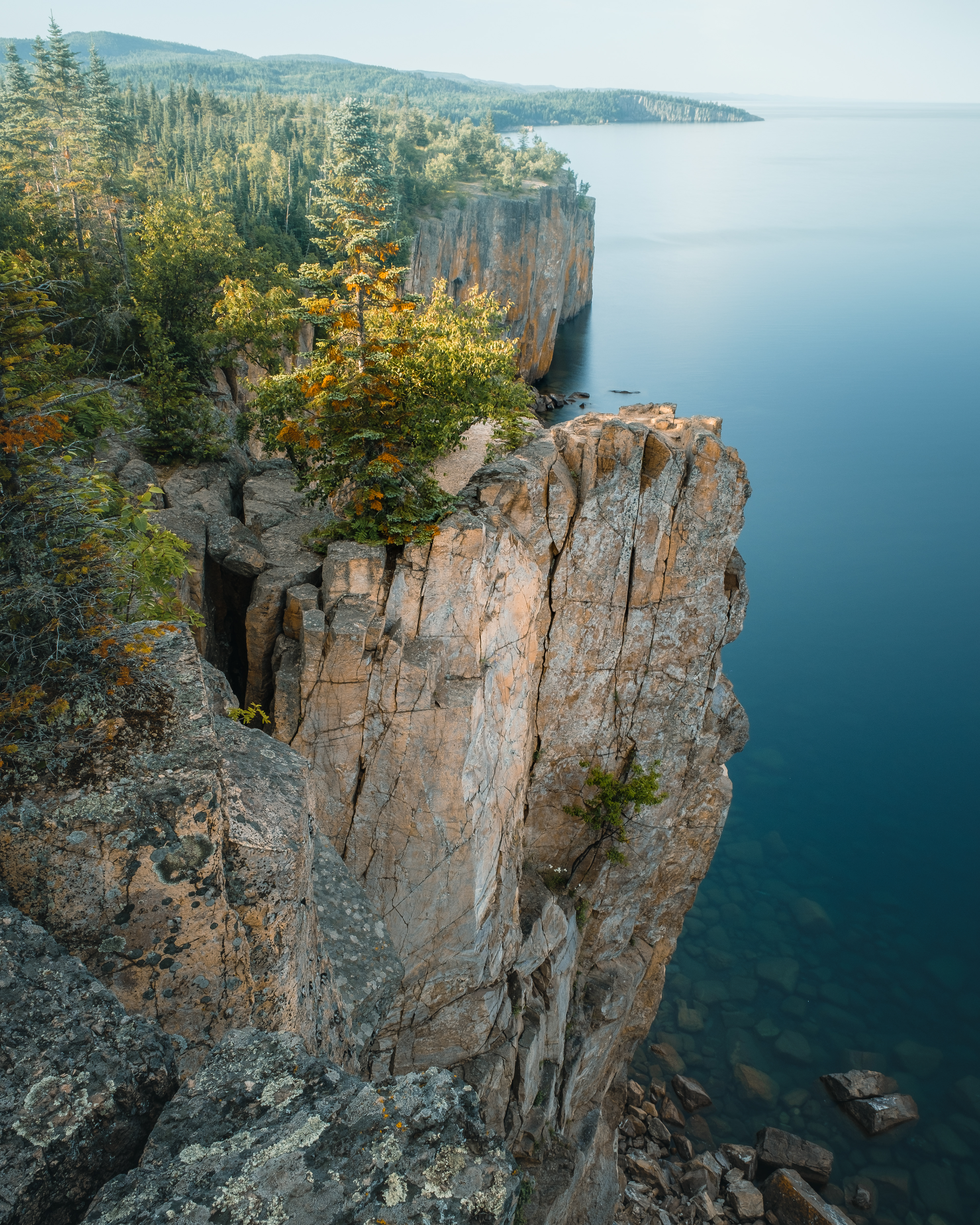 Palisade Head Tight