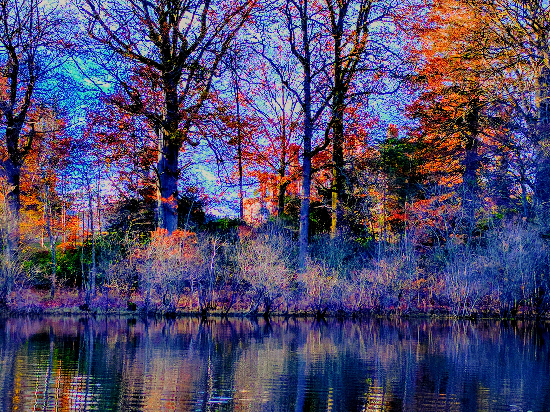 Watercolour Trees