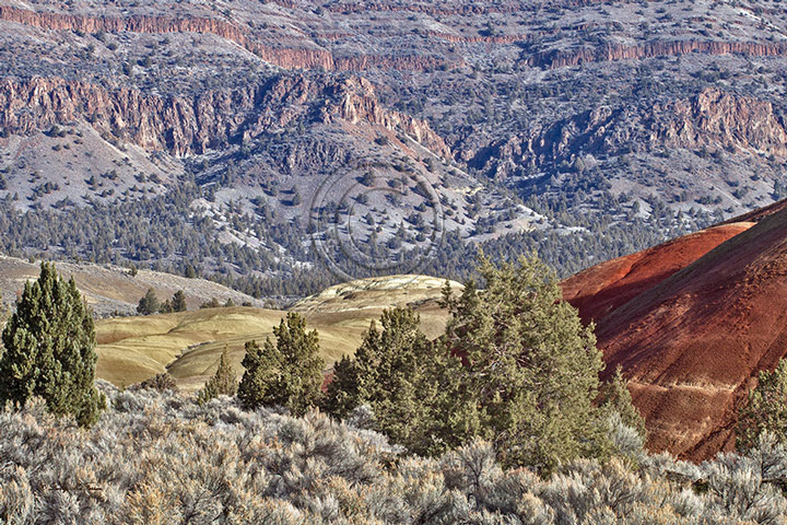 Painted Hills, Wheeler County, Oregon - Image #4869