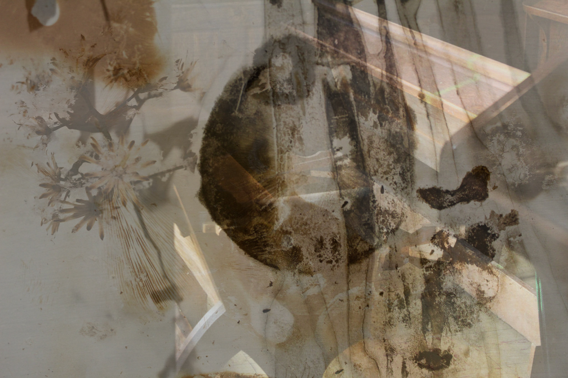 Untitled. Digital Collage. Variable. 2020.