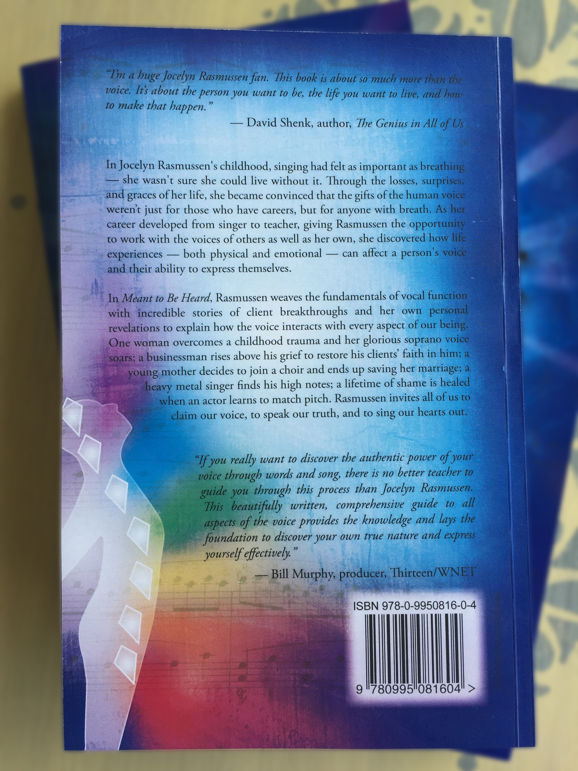 Meant to Be Heard Book Back Design by Amanda Downey