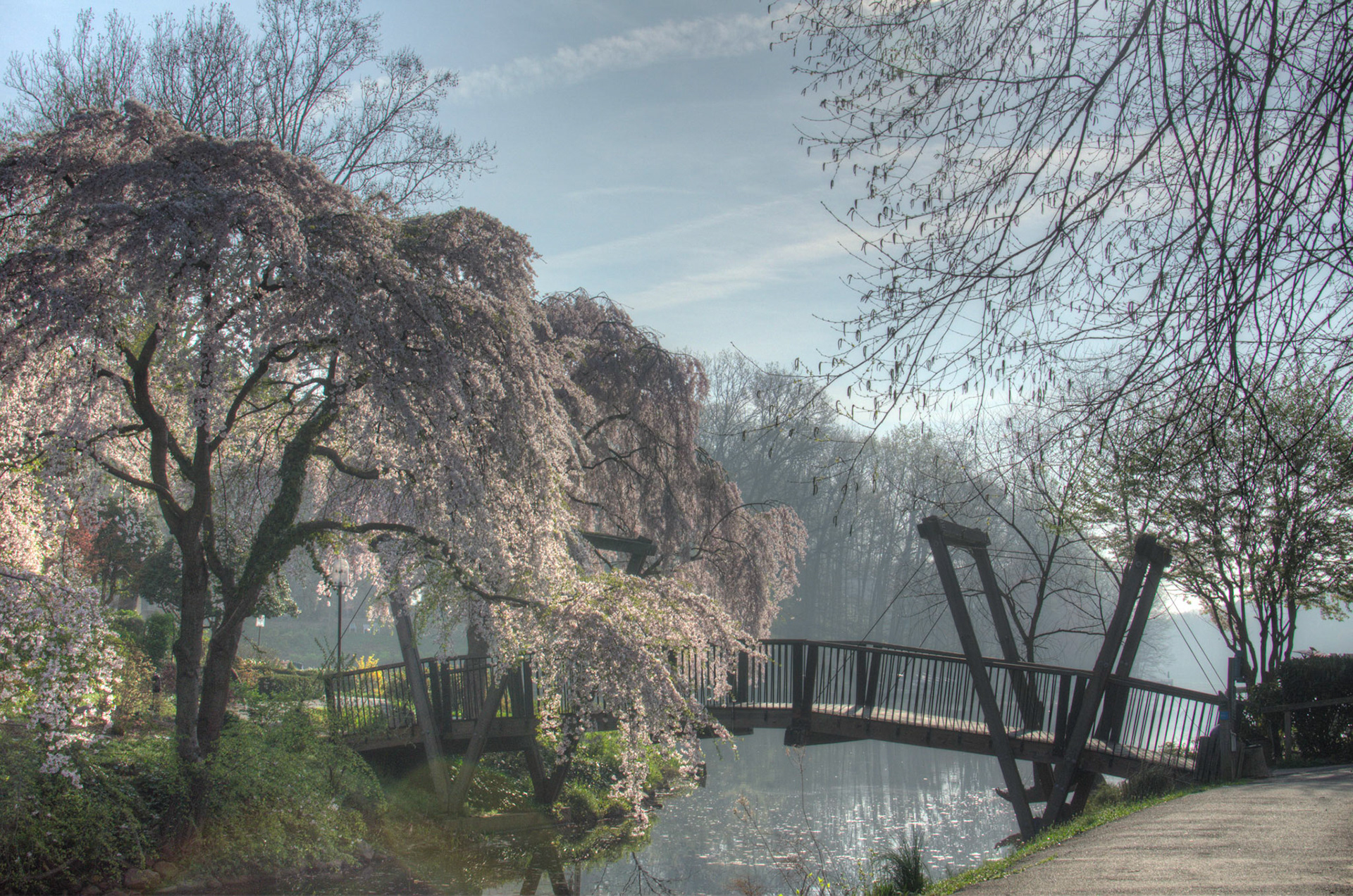 van gogh bridge