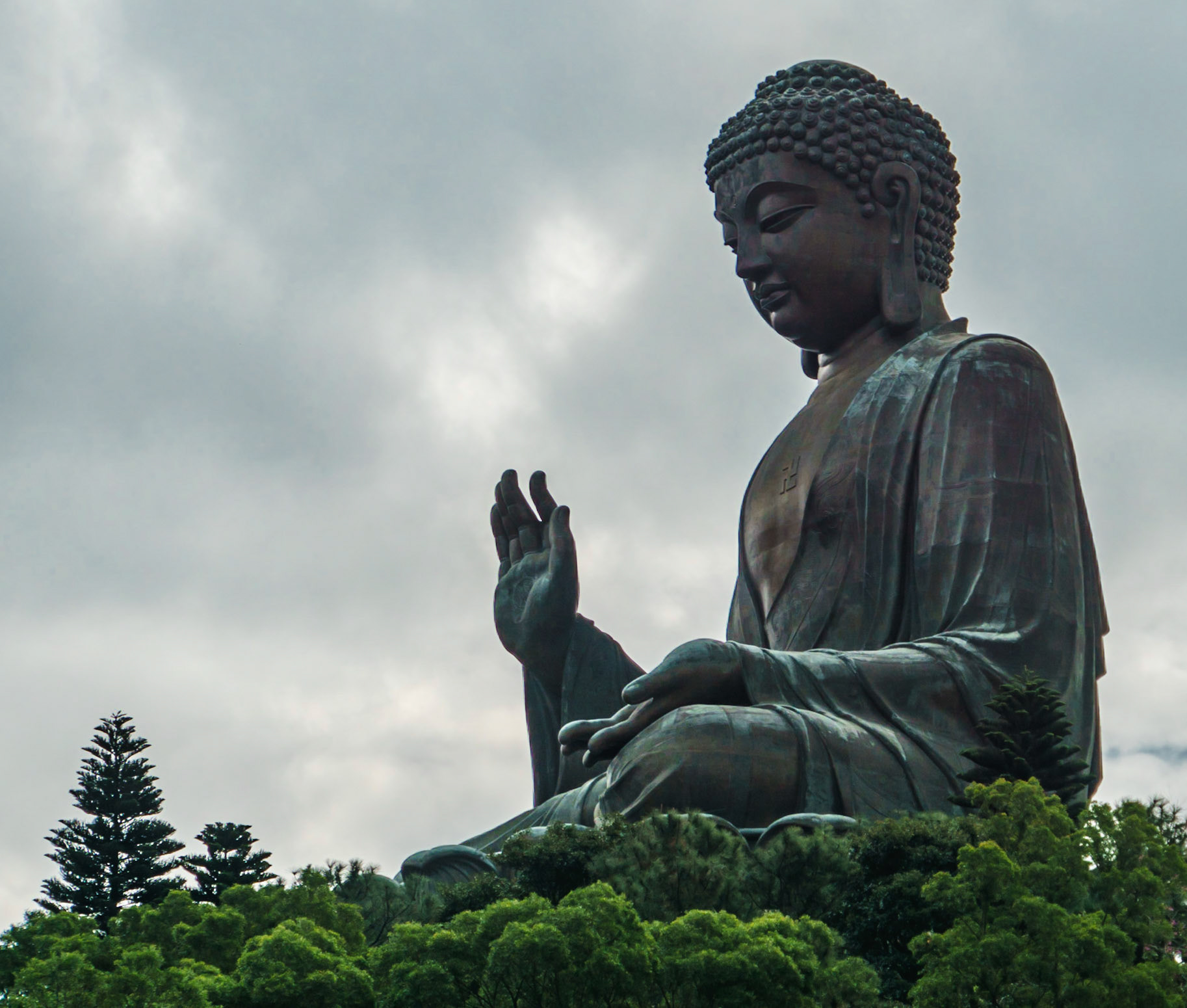 buddha among the trees
