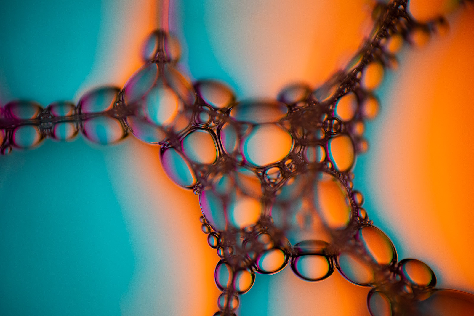 Bubbles V
