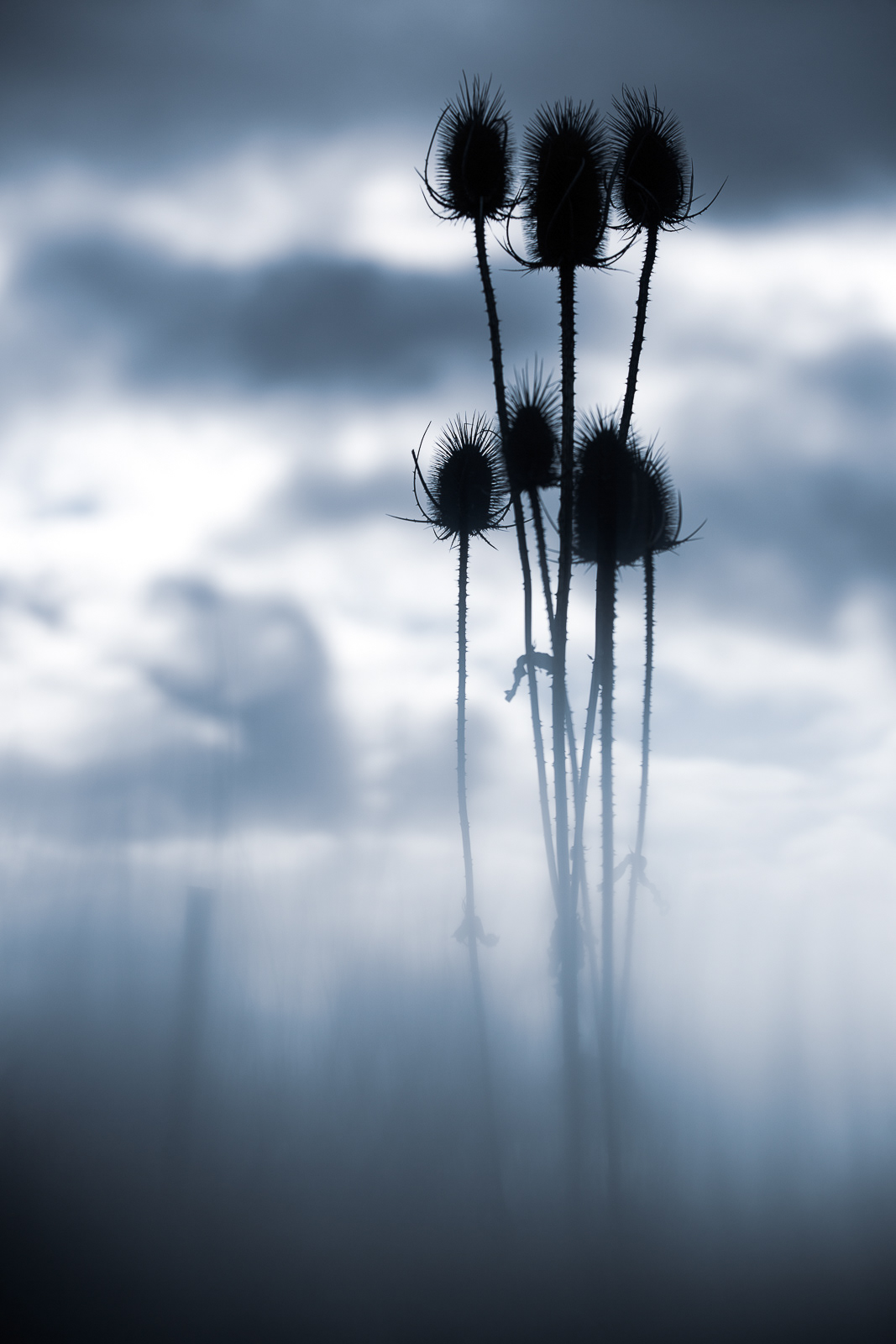 To heaven