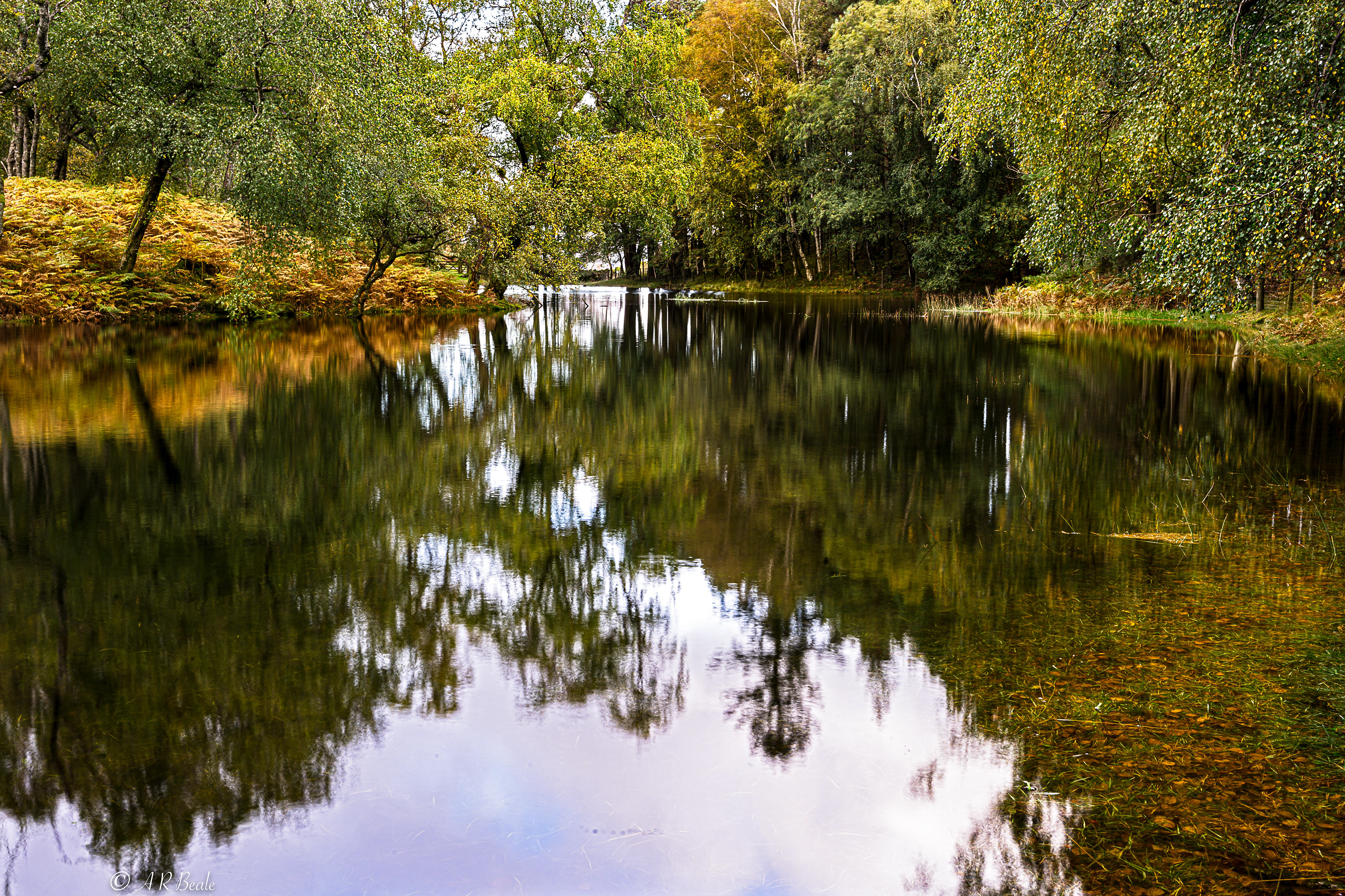 Lanty's Tarn. Dammed at one end and used to be used for ice when frozen