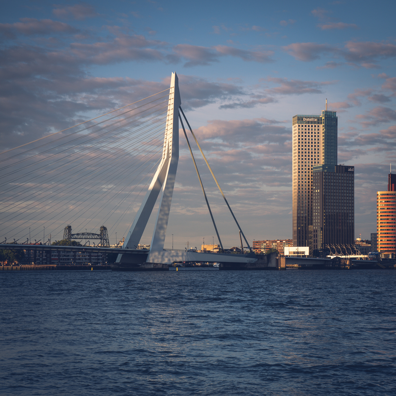 Erasmus bridge, Rotterdam