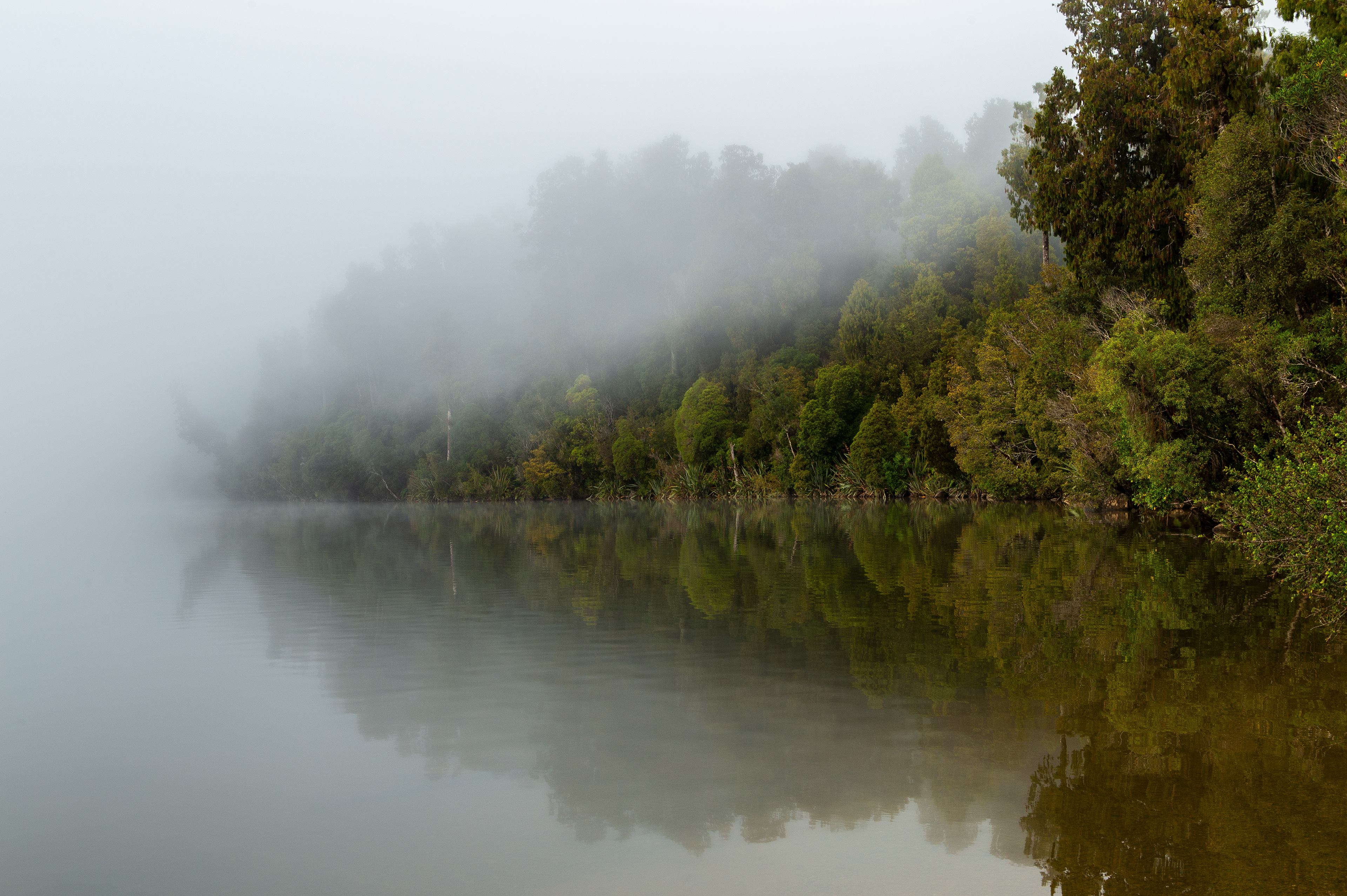 Morning mist; Lake Kaniere