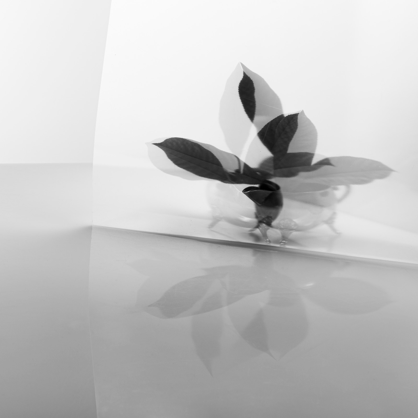 "Reflection" Photography by © Ewa Brykowska. All Rights Reserved.