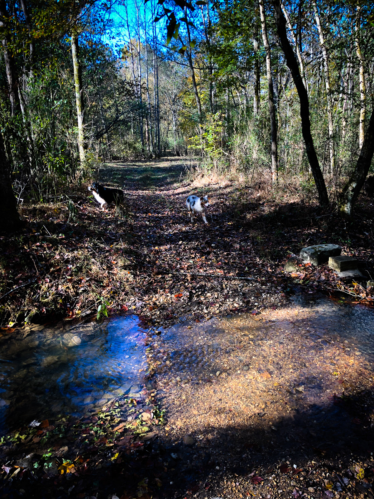 At Cane Creek Canyon