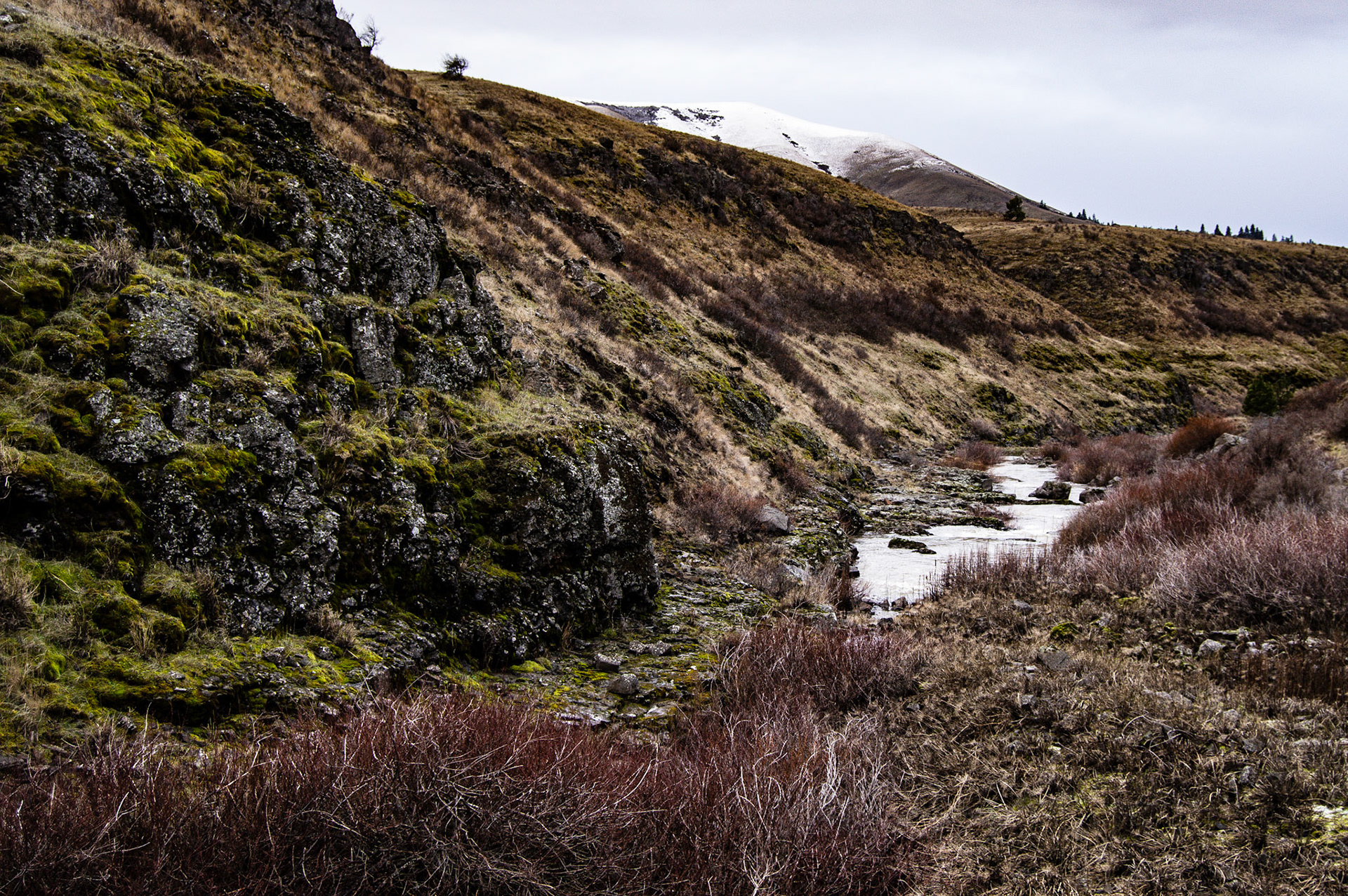 View along Swale Canyon Trail, Klickitat County, WA