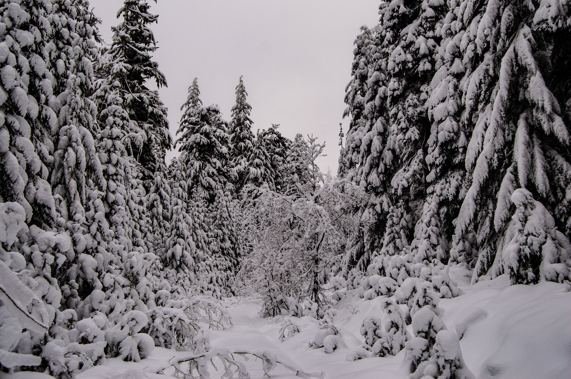 USFS Rd 48 is blocked by snow