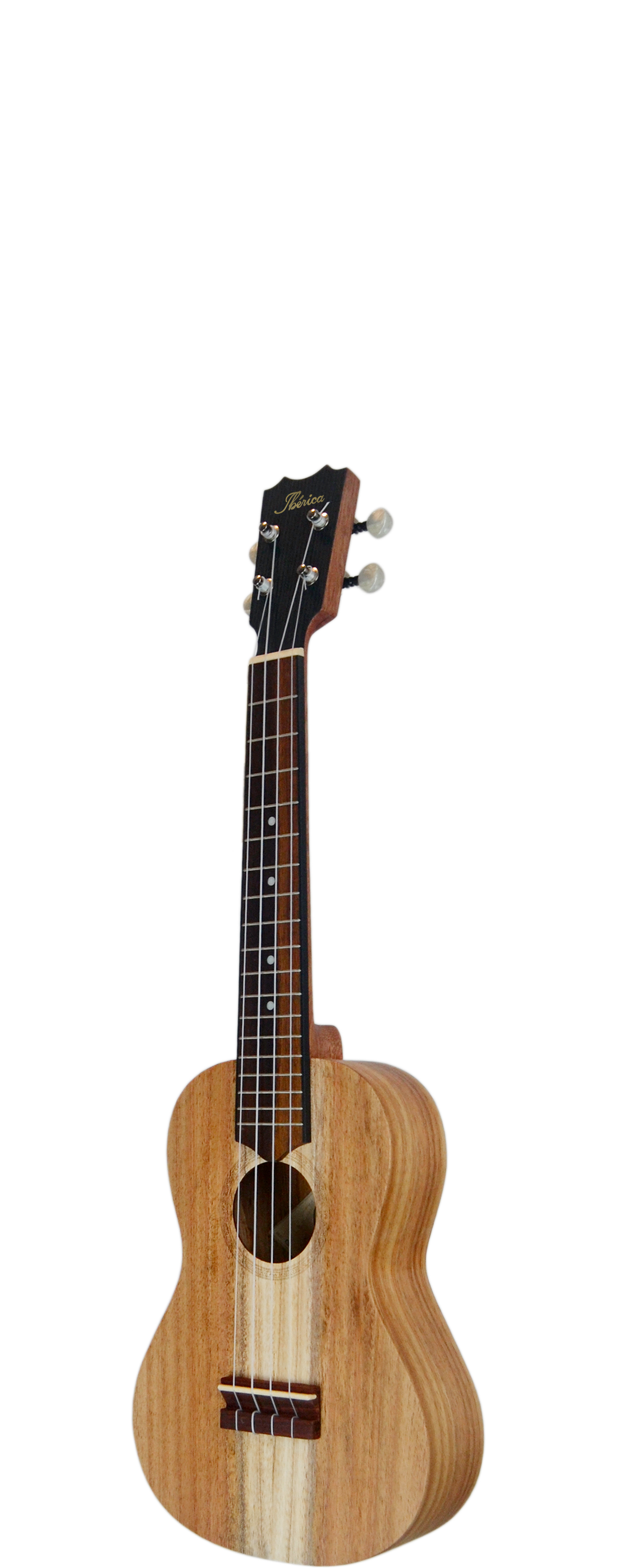 USTD C KOA - Concert size