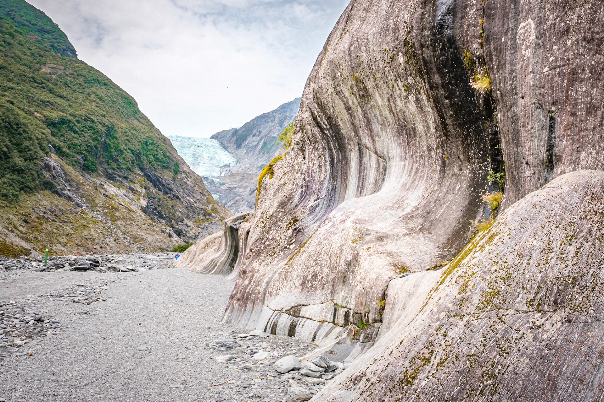 franz josef glacier