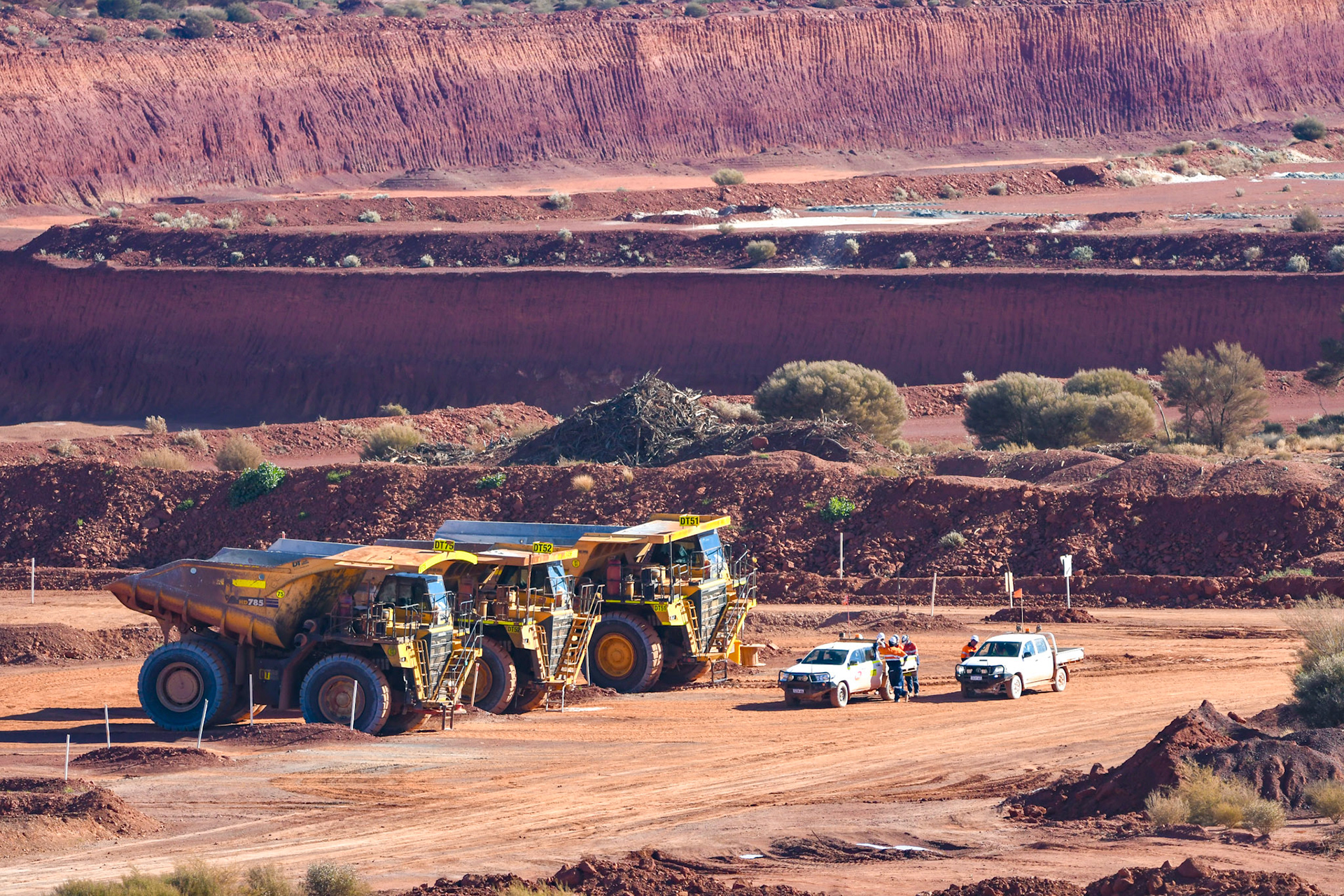 Every Man & His Dog Media Mining