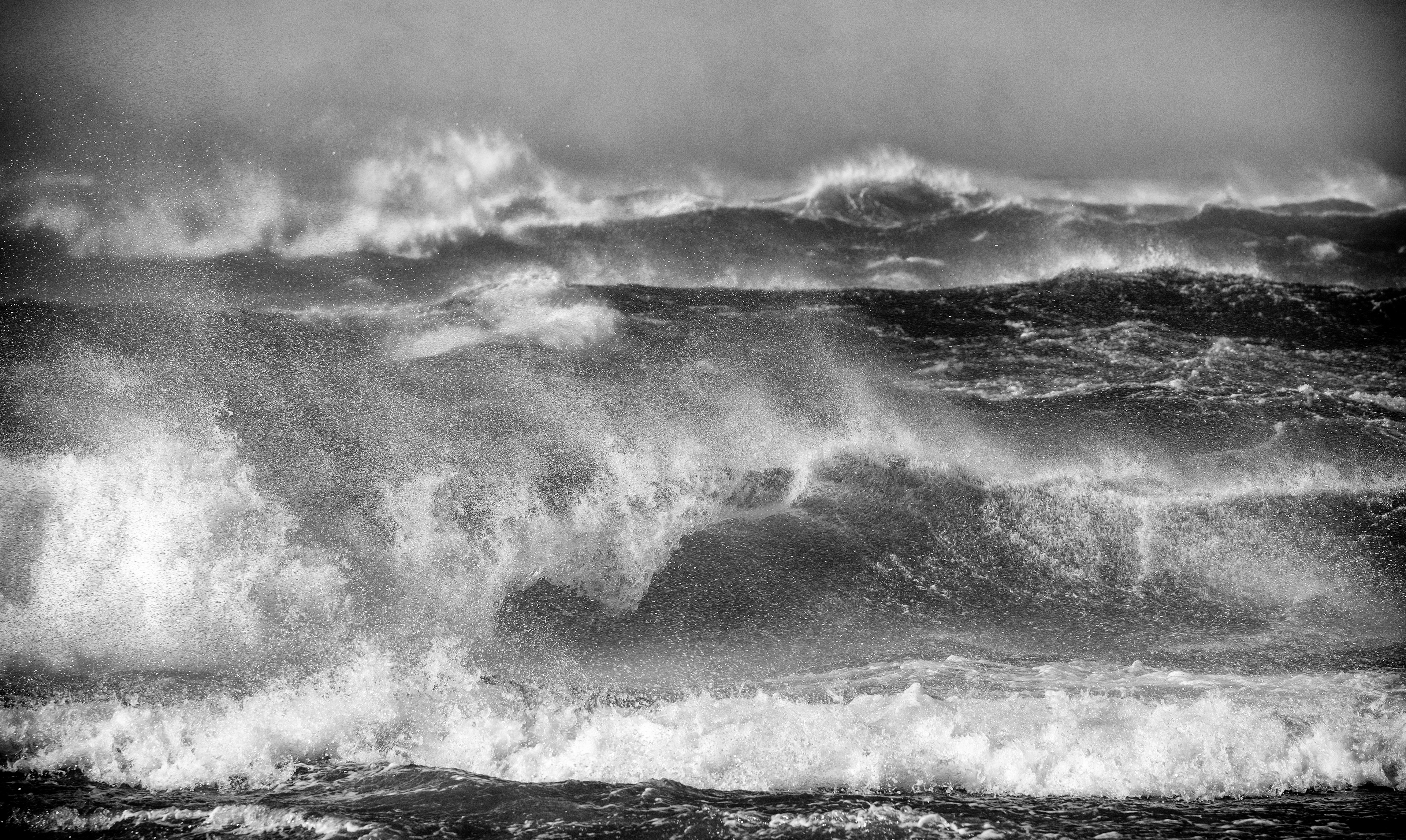 Wild Water