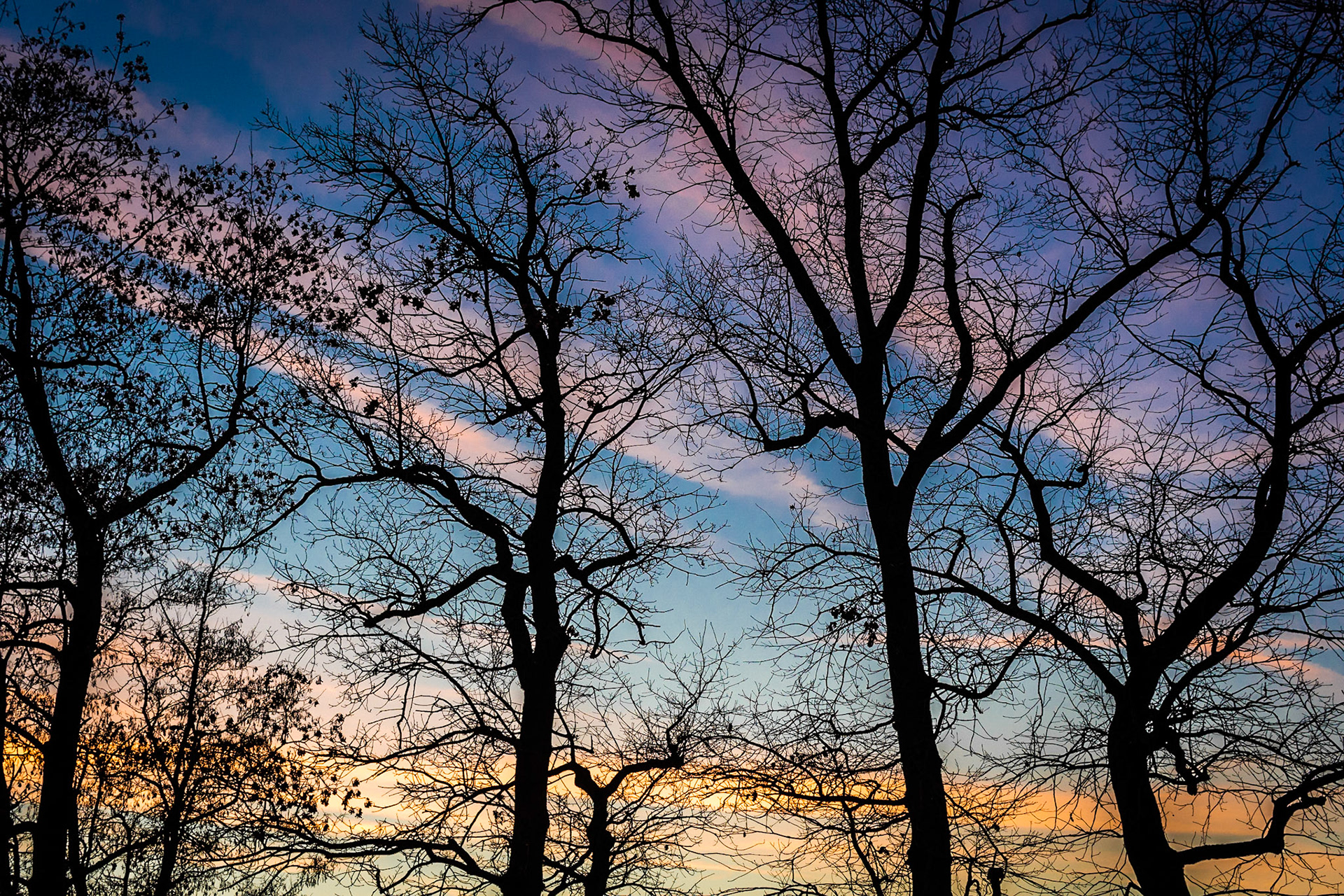 #Sonnenuntergang über den kahlen Bäumen an unserem Spielplatz