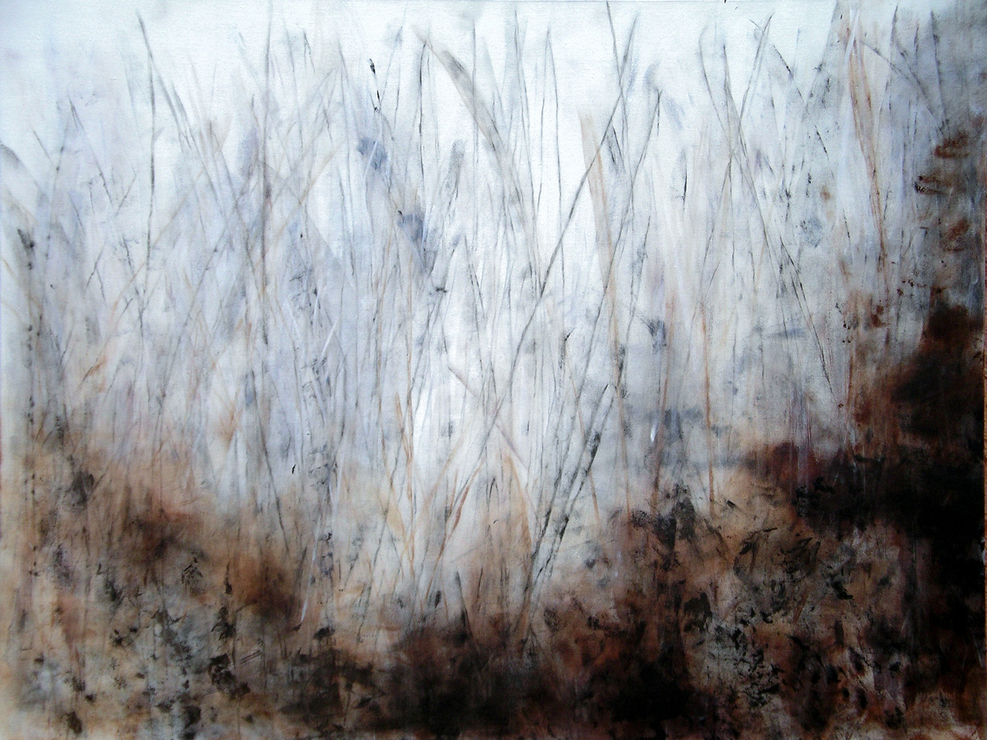 Vegetação (Vegetation), Acrylic on canvas, 26.4 x 39.4 in, 2005.